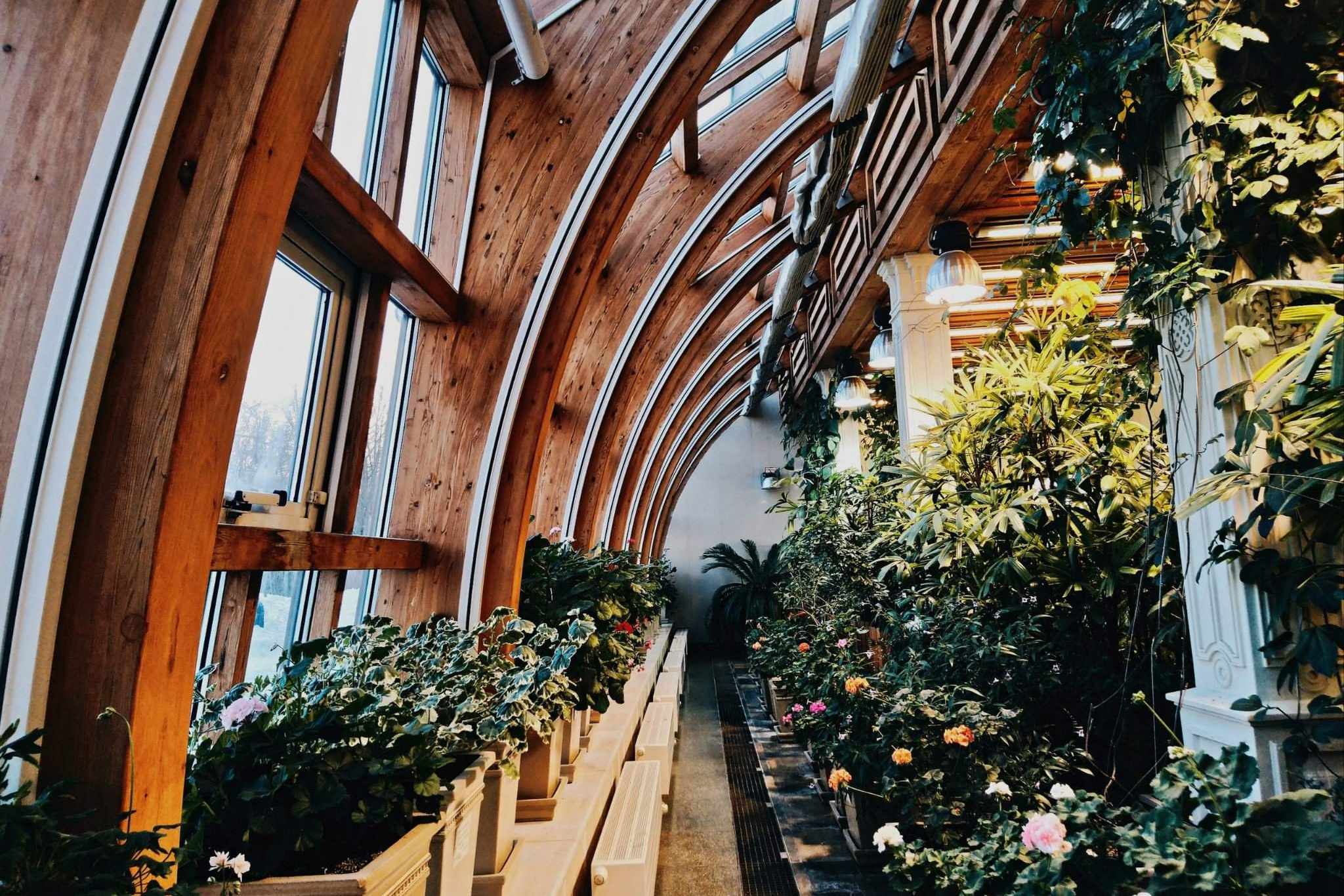 Красивые места для фотосессии. Фото Радости. Свадебный и семейный фотограф в Москве Юлия Самойлова