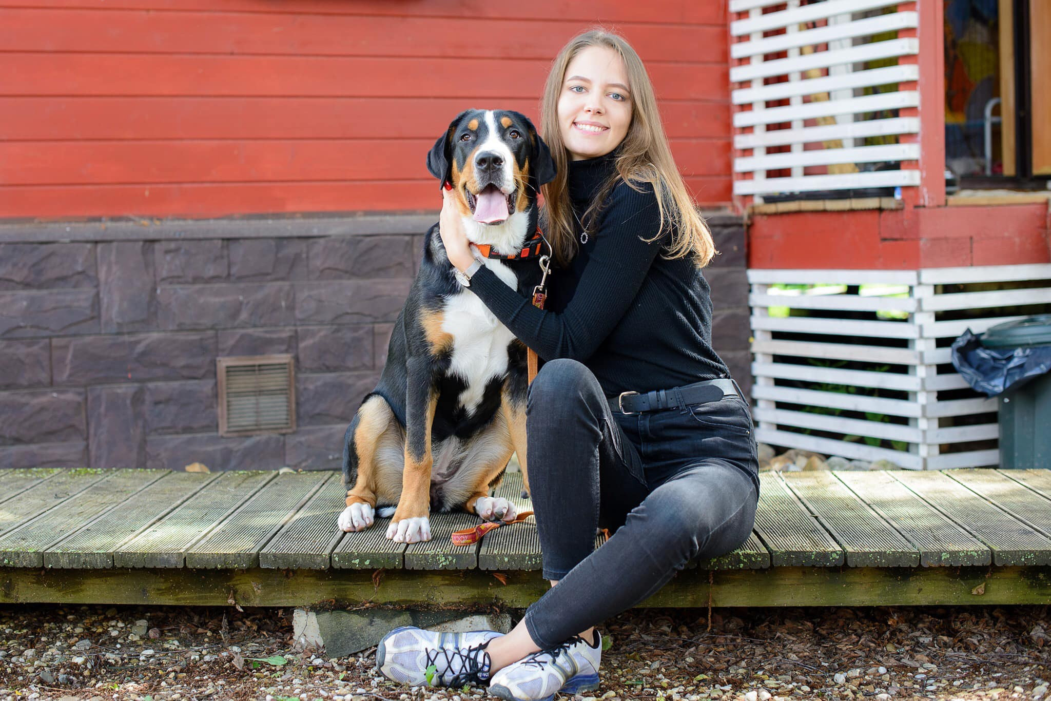 Победы на выставках собак питомника Санбёдс. Питомник Больших Швейцарских Зенненхундов в Калужской области