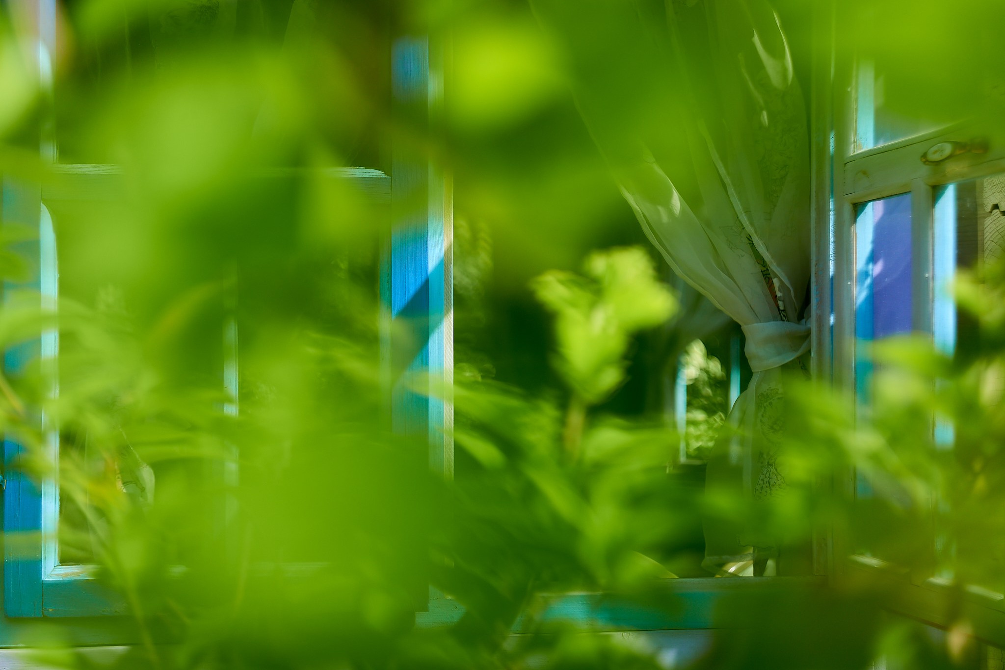 Nikon D850+Helios 44-2 2/58