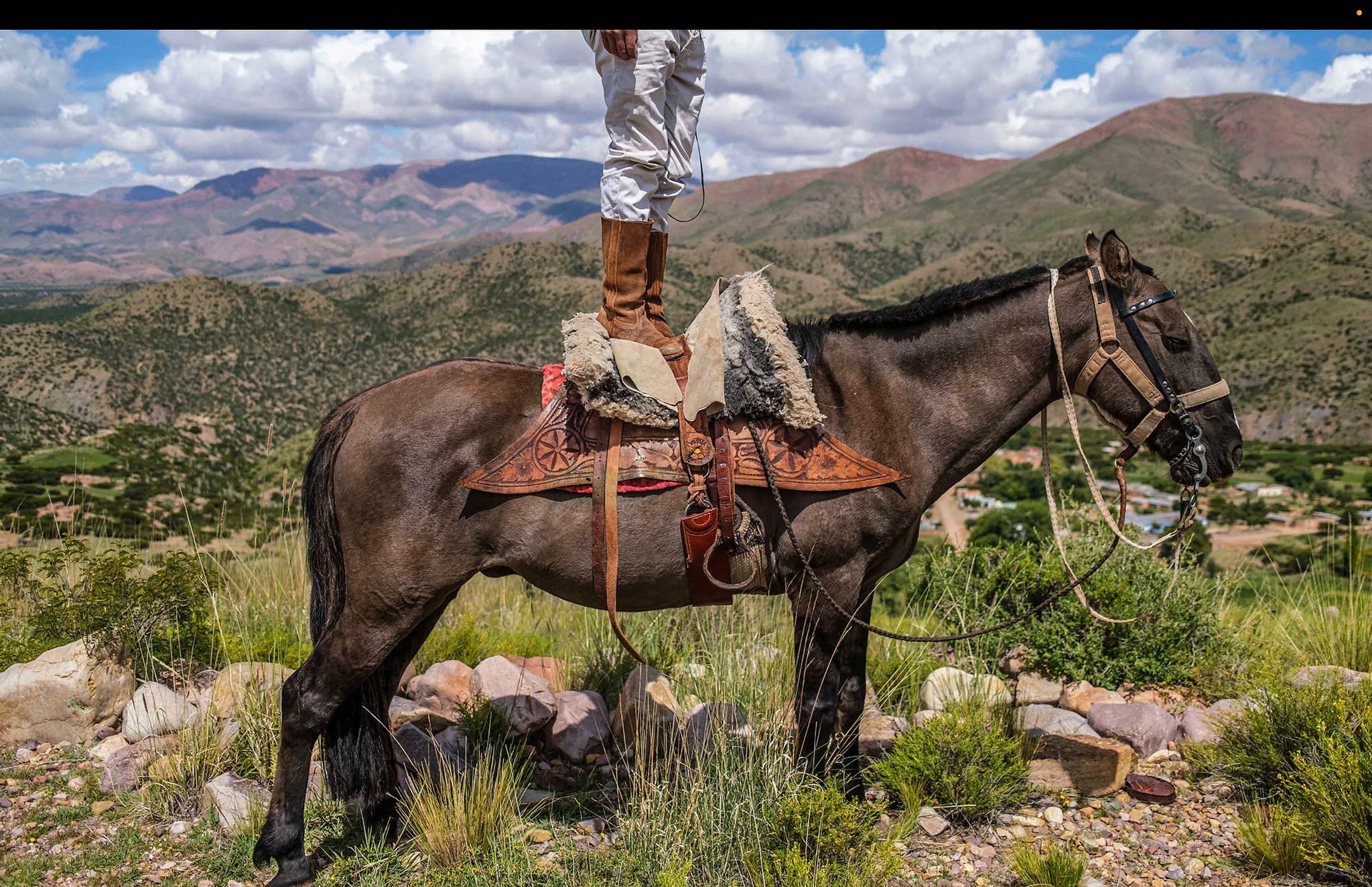 Quebrada de Humahuaca, Argentina, Photograph by Natalia FavreДиего Паредес, стоя в седле своей лошади Лобуно, обозревает некогда оживленный торговый путь, проходивший через эту живописную долину на севере Аргентины. Диего и его брат Уго гордятся тем, что они привносят в эту страну новую жизнь, проводя образовательные конные туры со своей компанией Renaciendo Costumbres (Возрождение традиций).