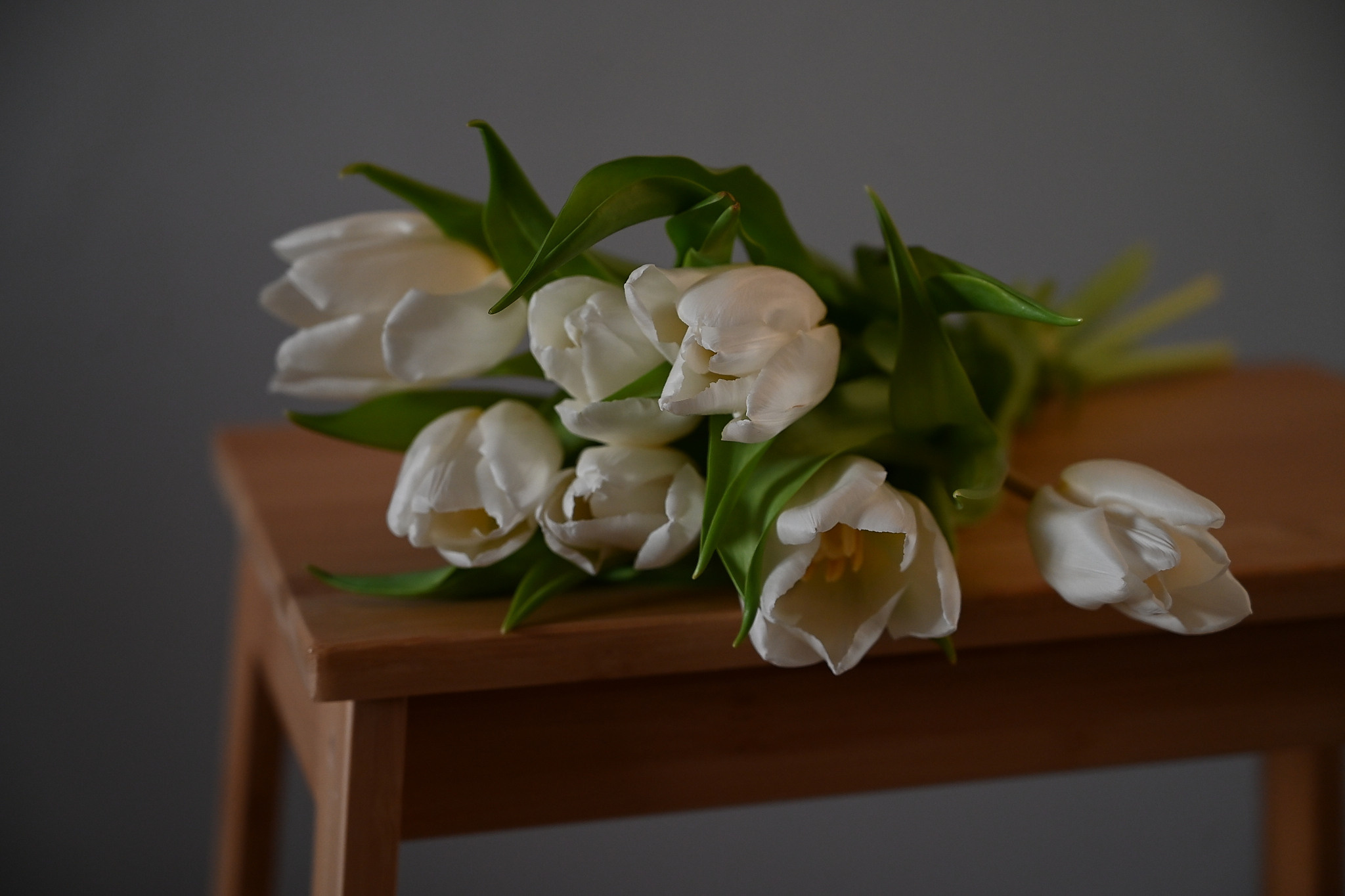 Ждём весну. Семейный и свадебный фотограф в Сарове Дмитрий Власов