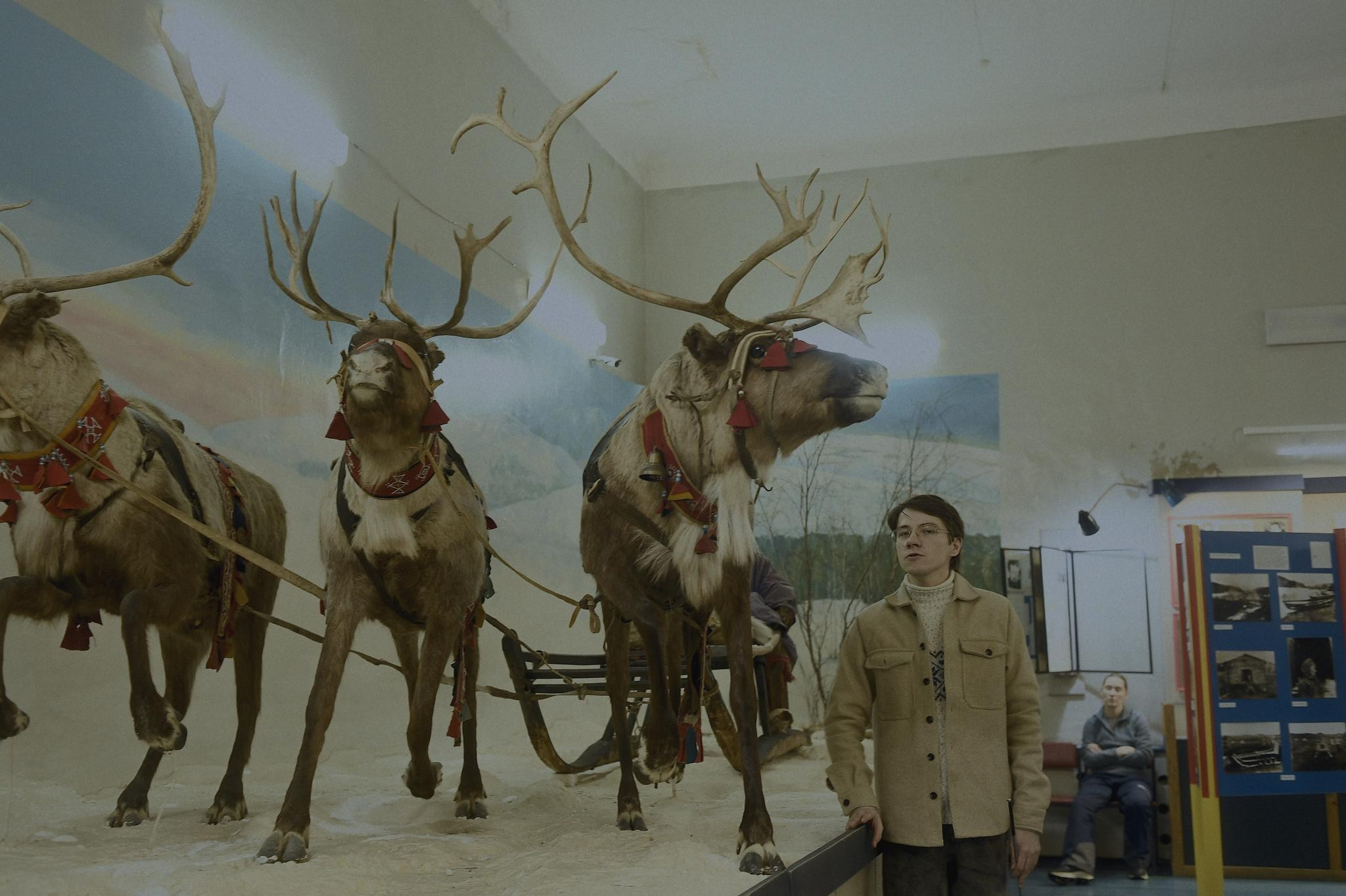 Фототур к северным оленям и саамам. 5–9 марта