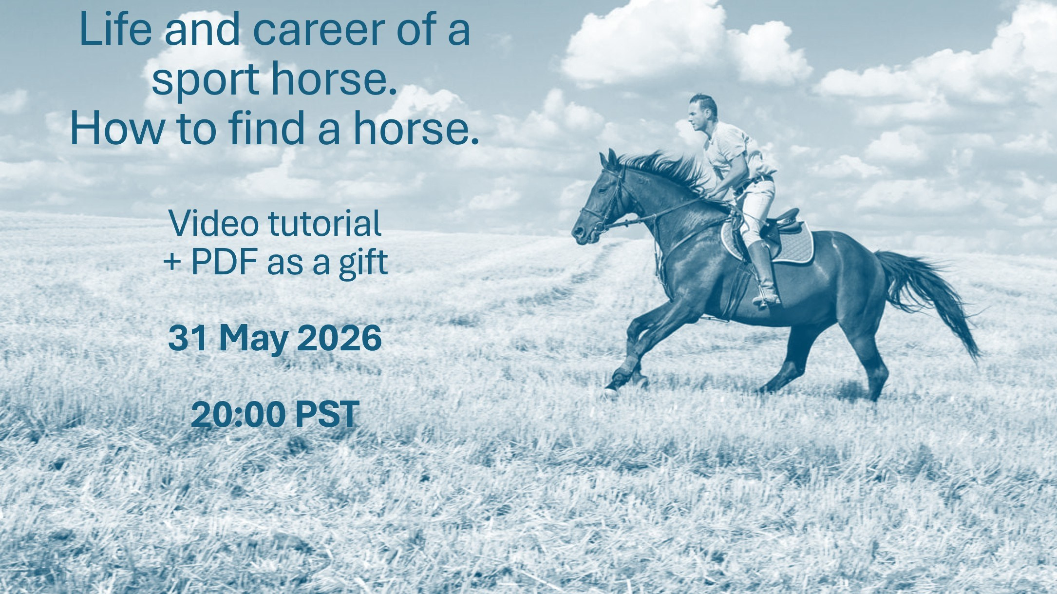 Календарь соревнований и семинаров. Лиана Антонович | Конные стратегии