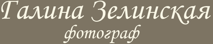 zelga-photo.ru