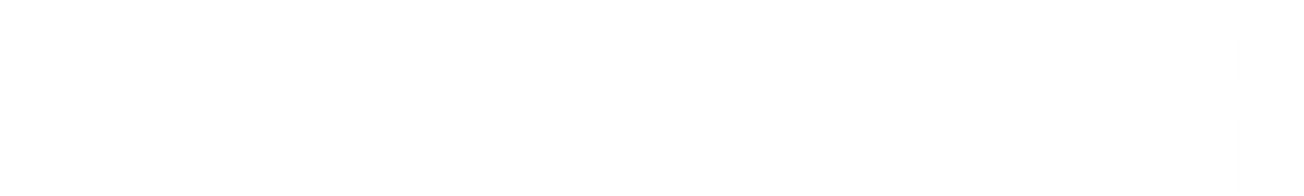 ladovaizer.ru