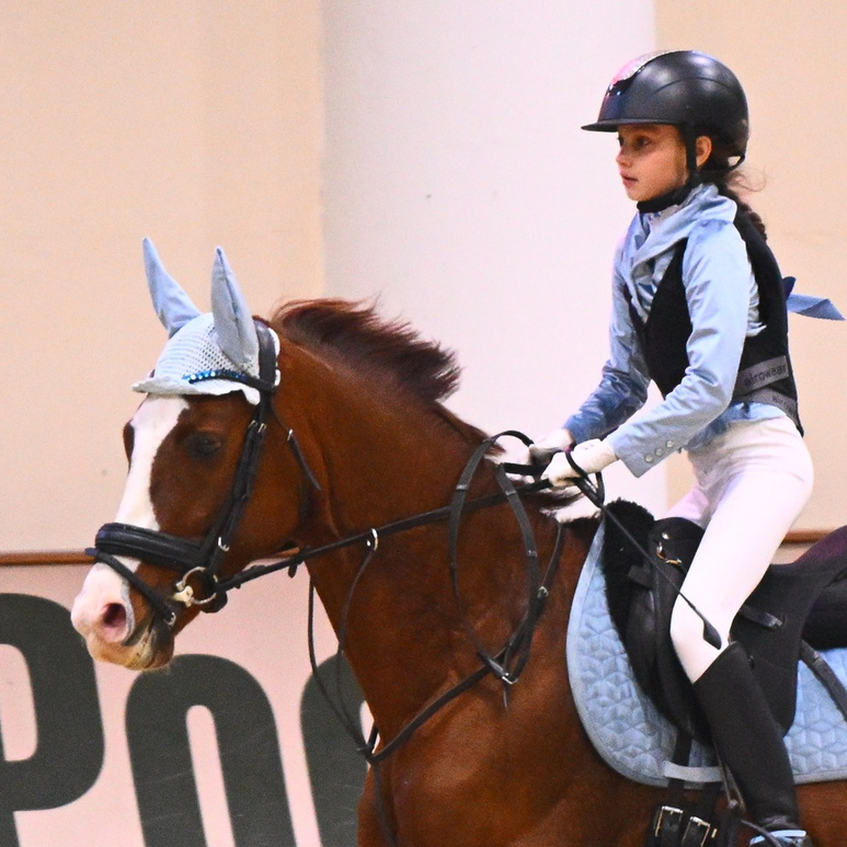 2025.10.25 — КСК Виват, Россия!. ТУРНИРНАЯ КОННАЯ ФОТОГРАФИЯ, Руднева Ольга и Евгений Адеев