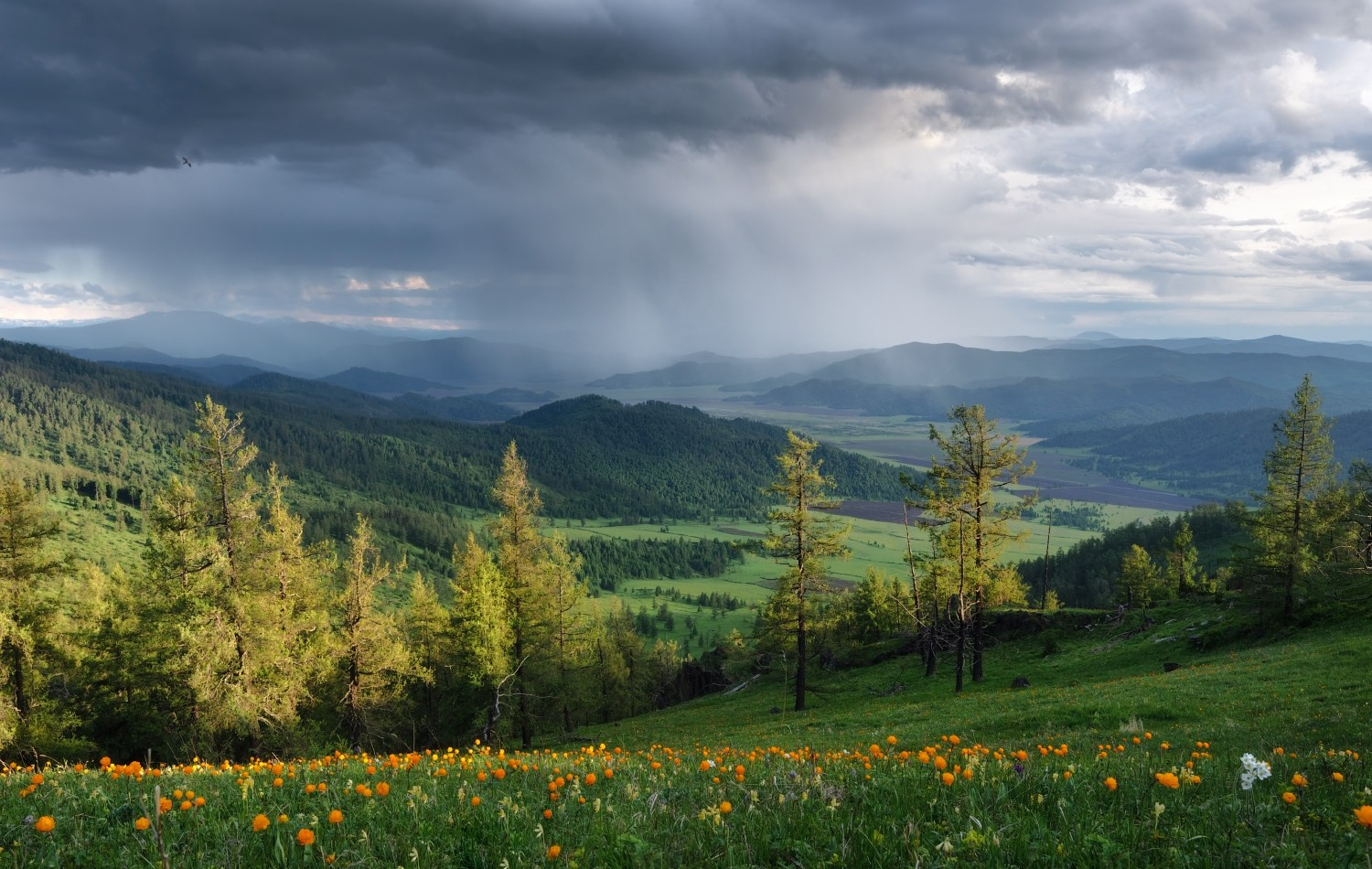 Групповые фототуры по Алтаю. Профессиональный пейзажный фотограф Алёна Рубан