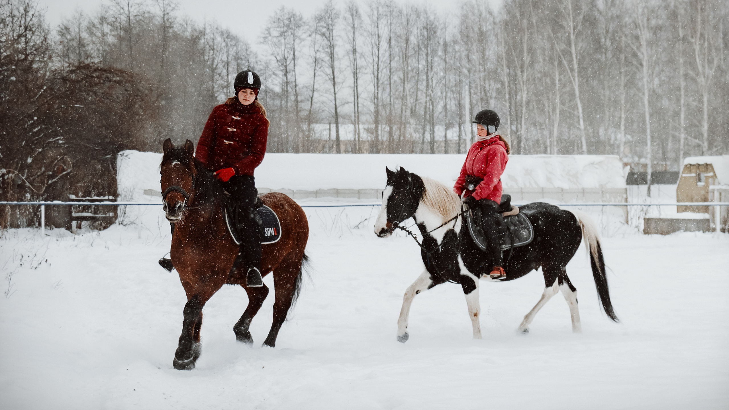 Конноспортивная школа Добрый конь город Белоозерский