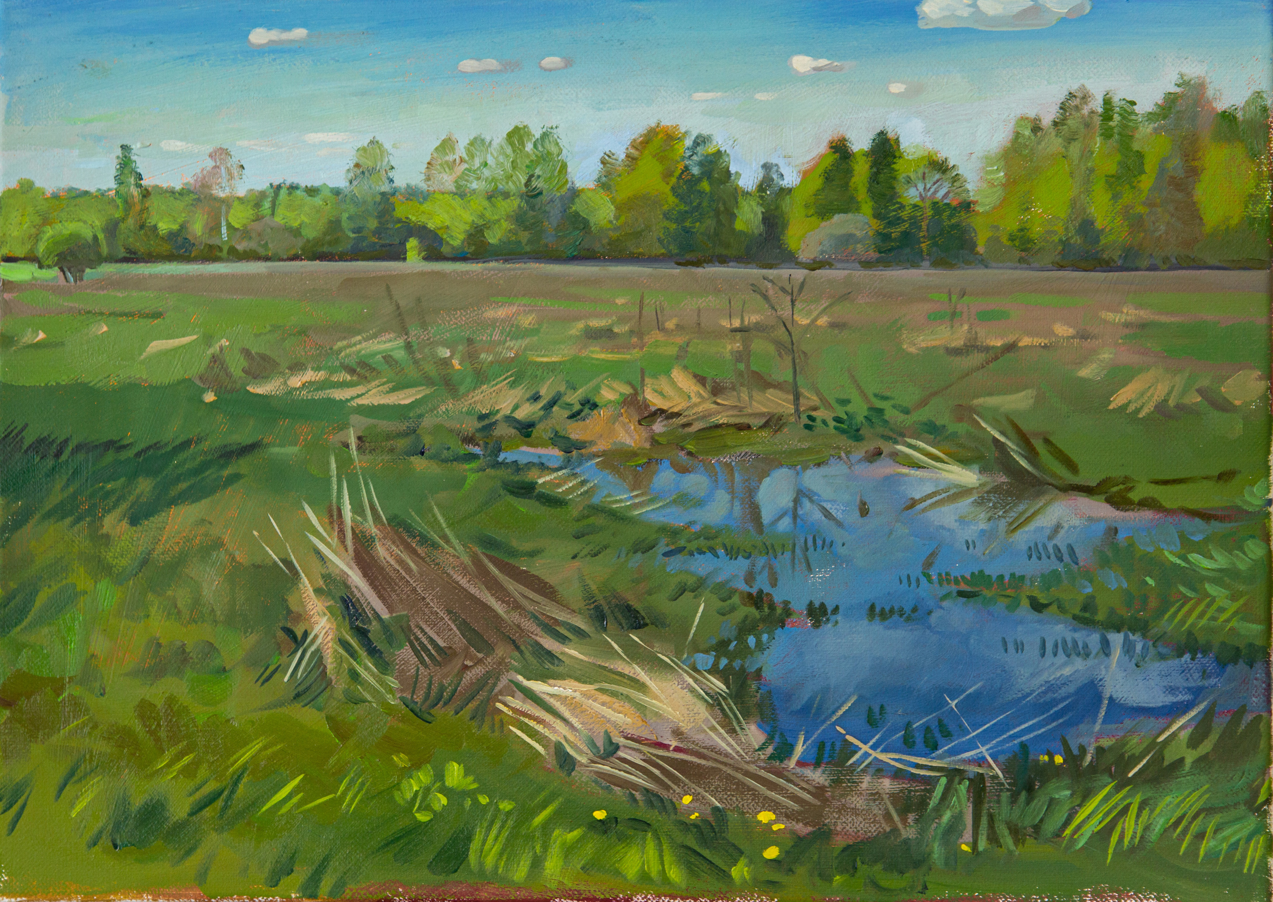 ЖИВОПИСЬ ЦЕНЫ. Artist Anna Khopta. Oil and Acrylic Paintings. Moscow