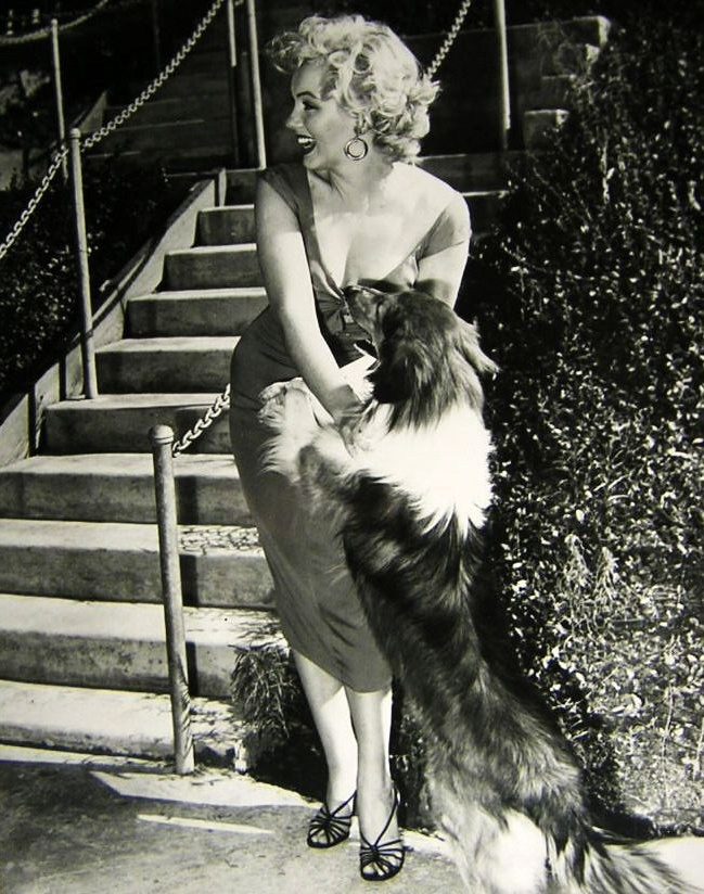 Мерлин Монро. Фотограф анималист в Санкт-Петербурге Таша Крейв