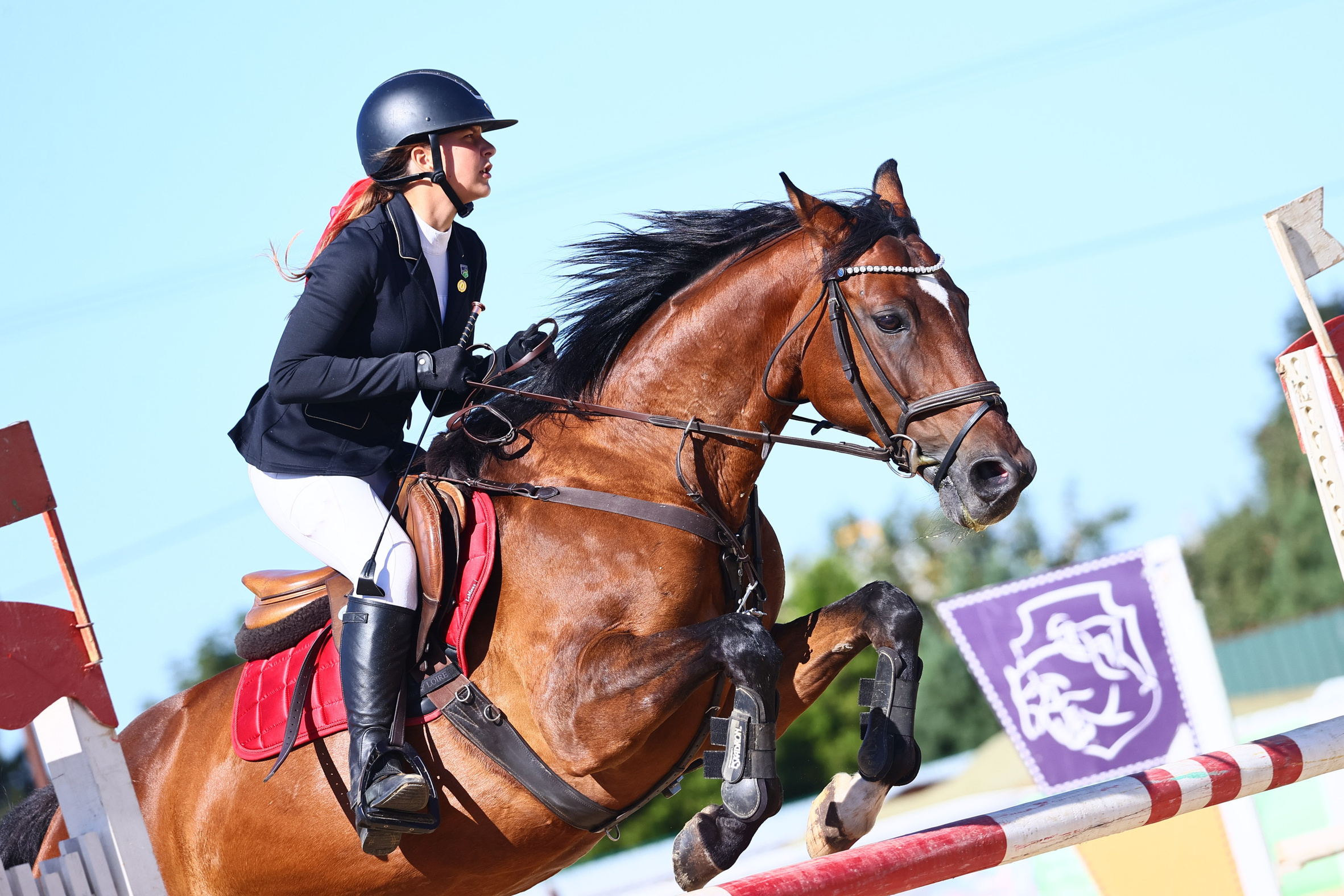 Купить фотографии с турниров. KatymartArt — Equine photography