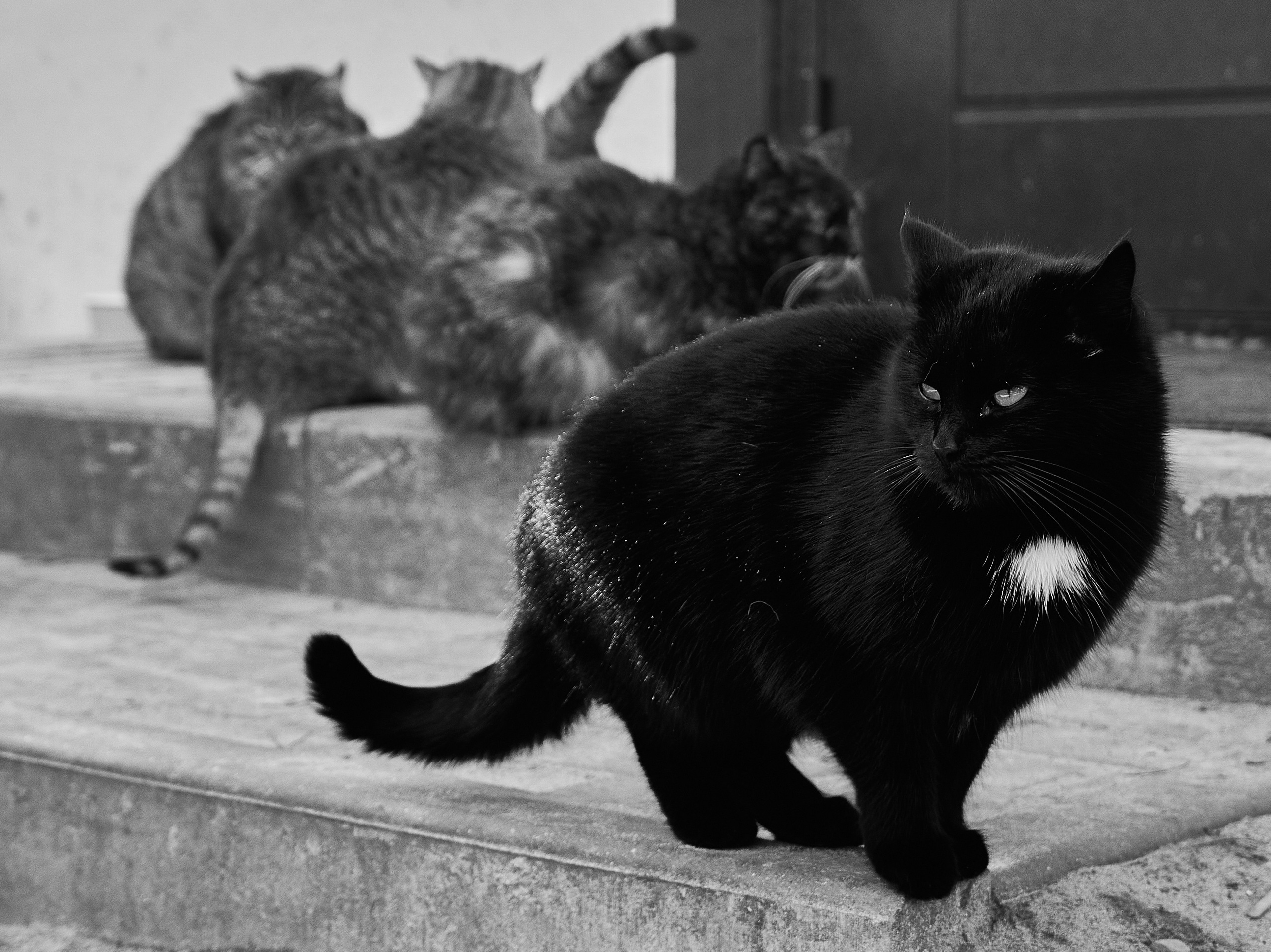 Куршская коса. Фотограф в Москве Анастасия Баева