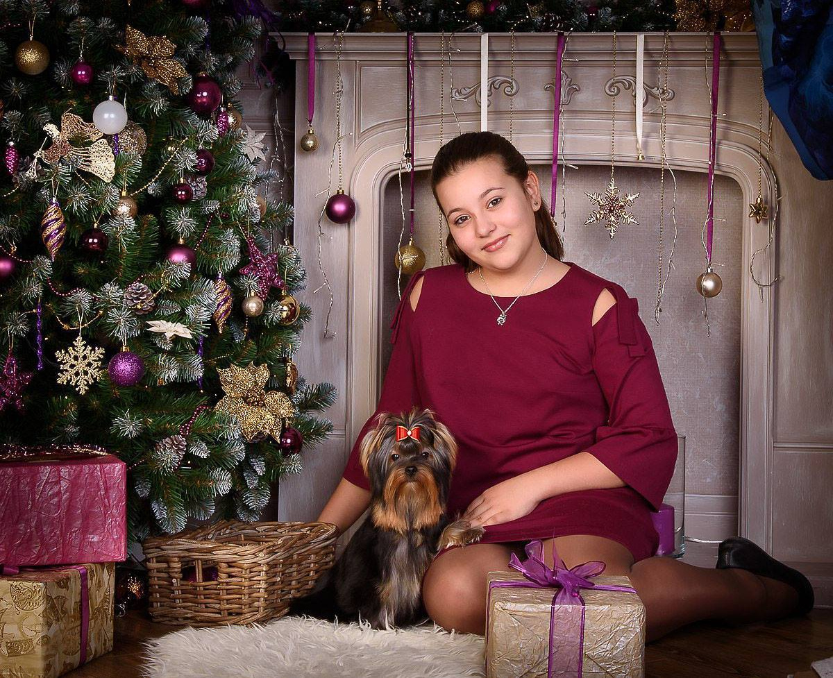 МАЙ СИЛЬВЕР ФРЕНД СЭЛФИ. Питомник Йоркширских терьеров Дэнстайл в Санкт-Петербурге заводчик Тих