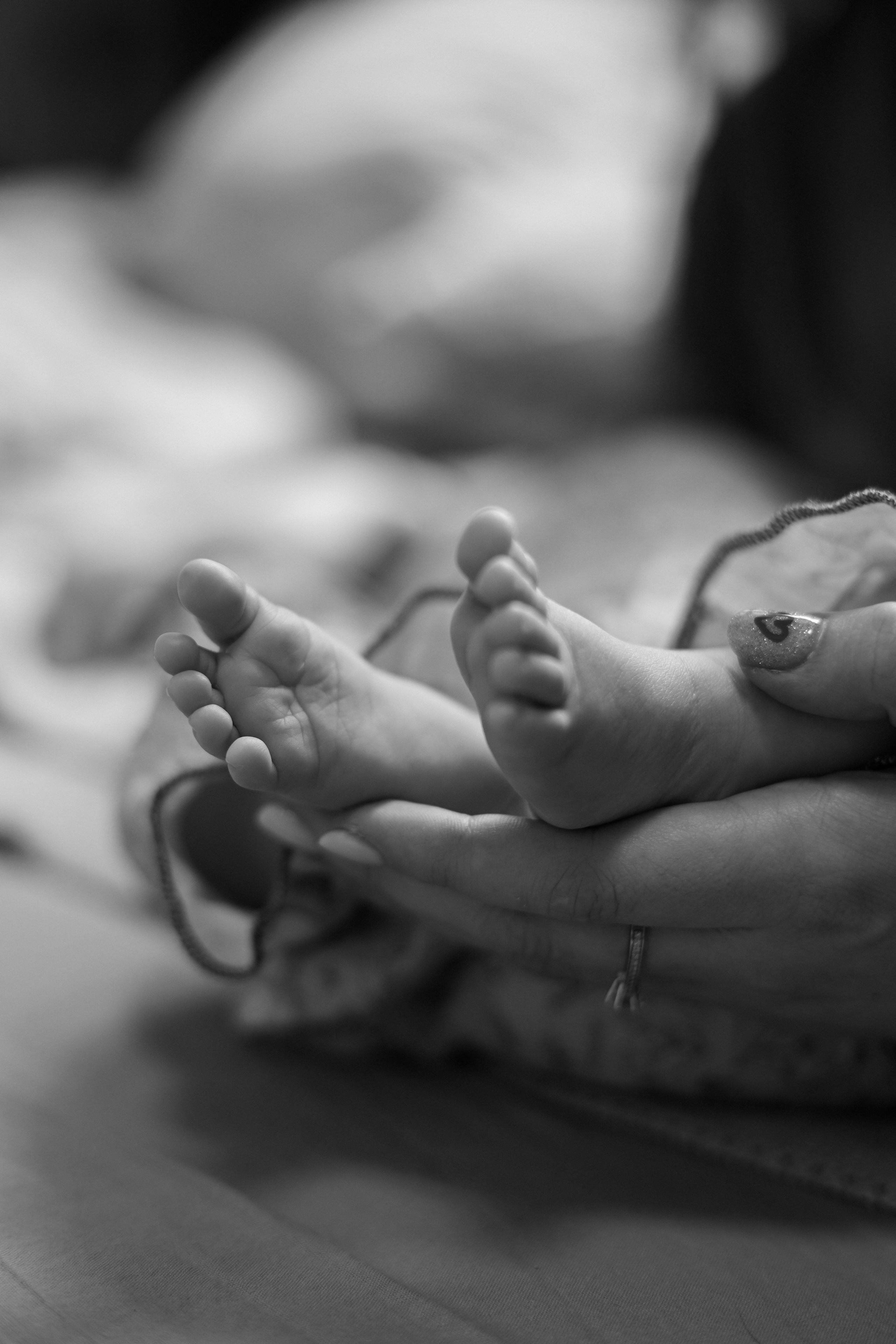 Стоимость. Свадебный и портретный фотограф в Санкт-Петербурге Софья Каркачева