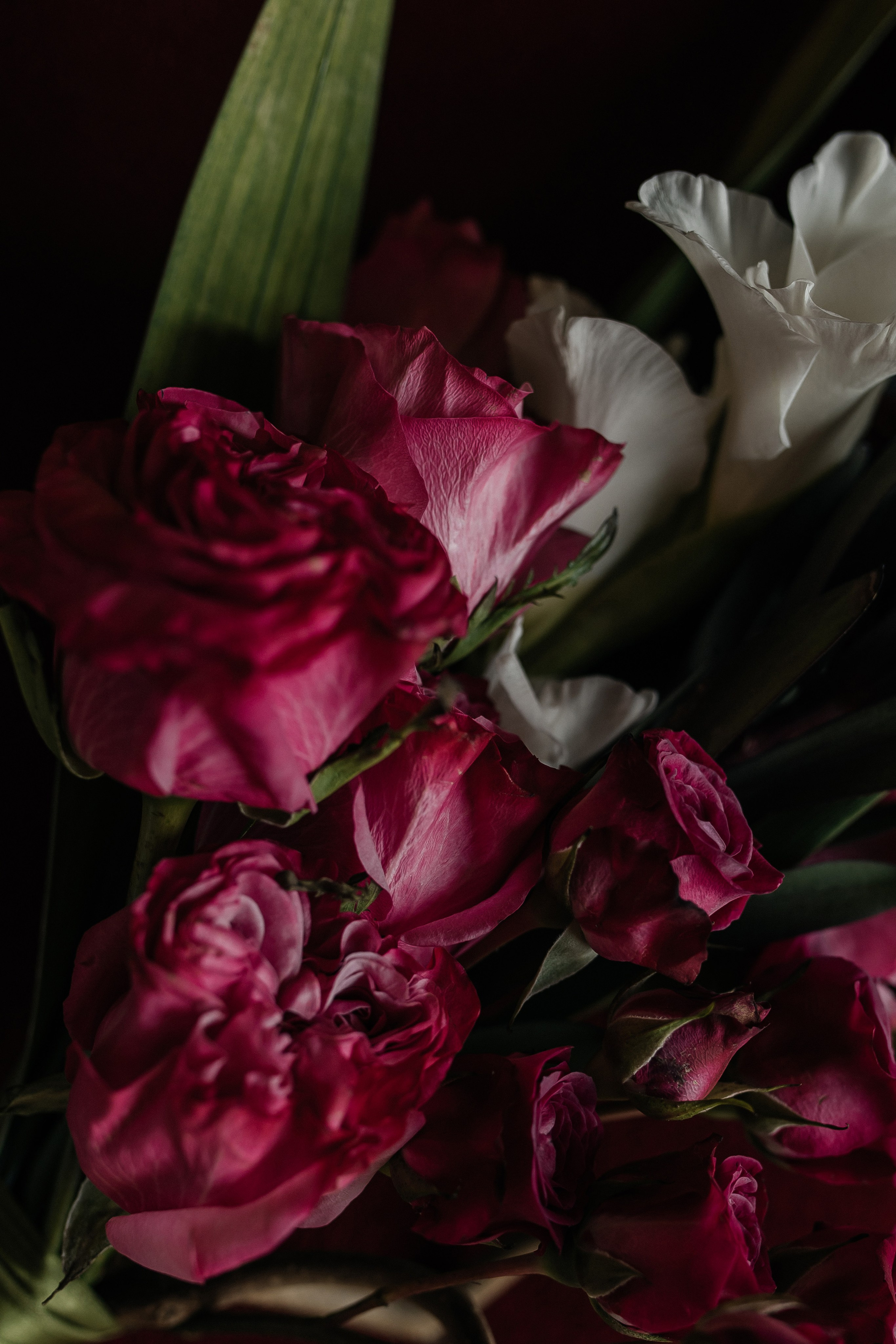 Цены и условия. Фотограф в Томске Ирина Павлуцкая