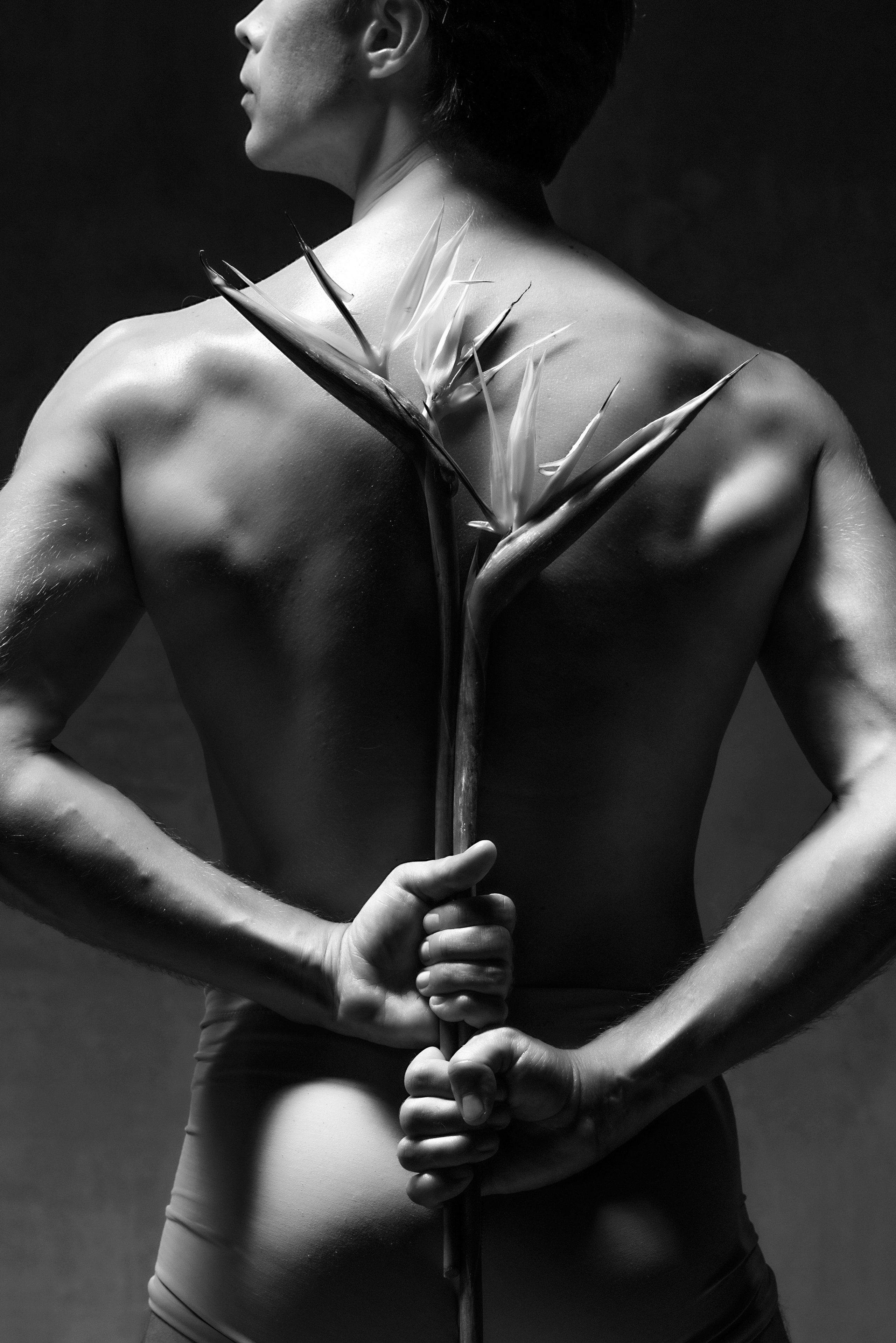 Артём Овчаренко звезда большого театра. Мужская фотосессия с цветами