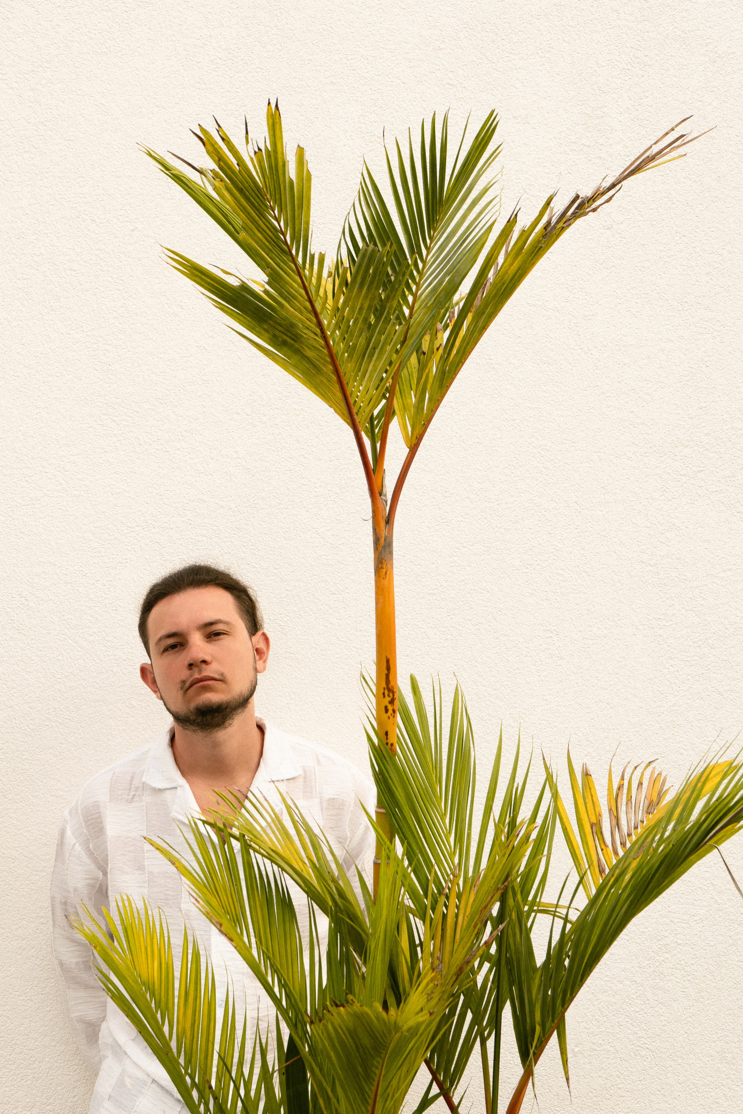 Контакты. Свадебный фотограф Михаил Мирзоян