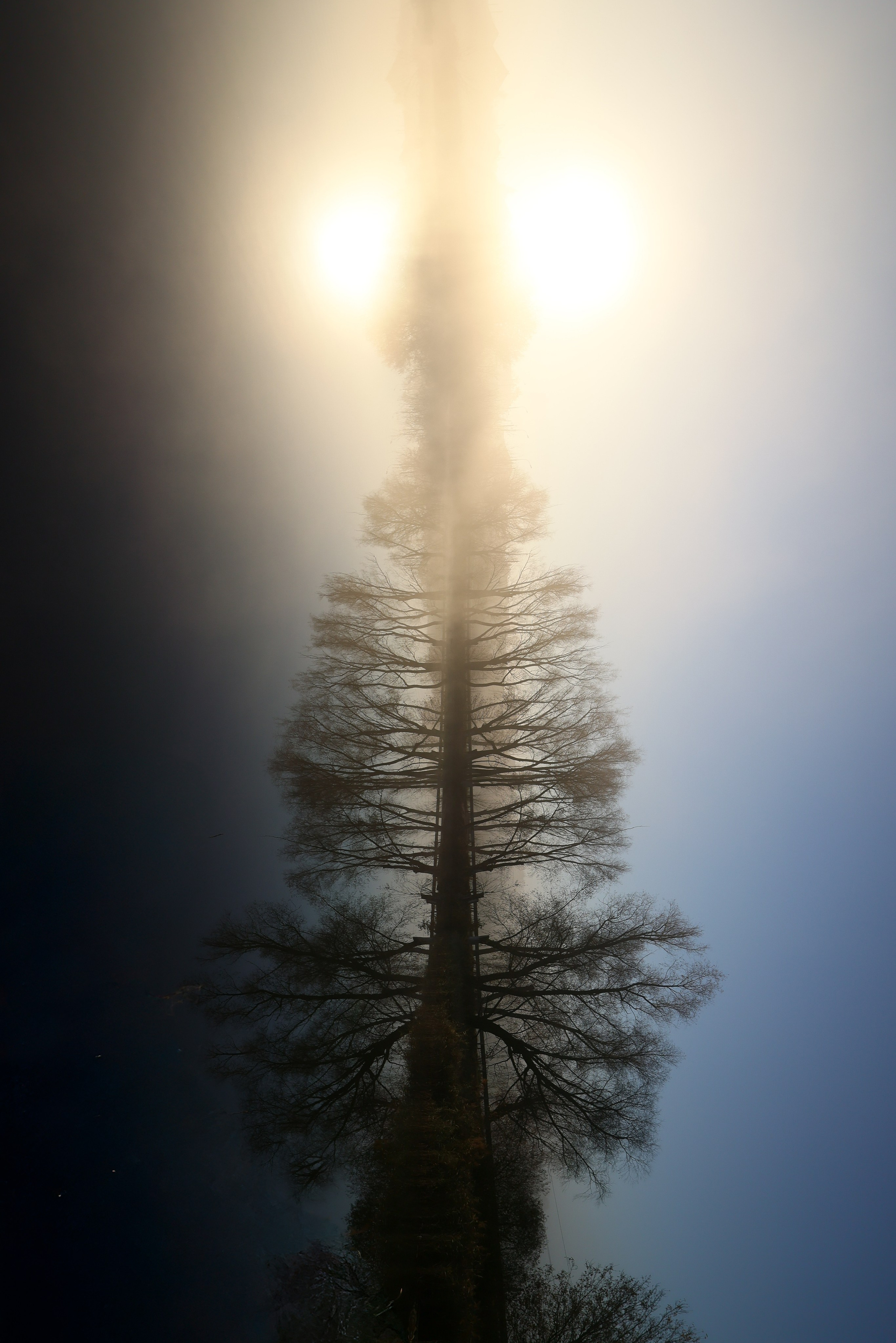 Картины. Фотограф Евграфов Александр