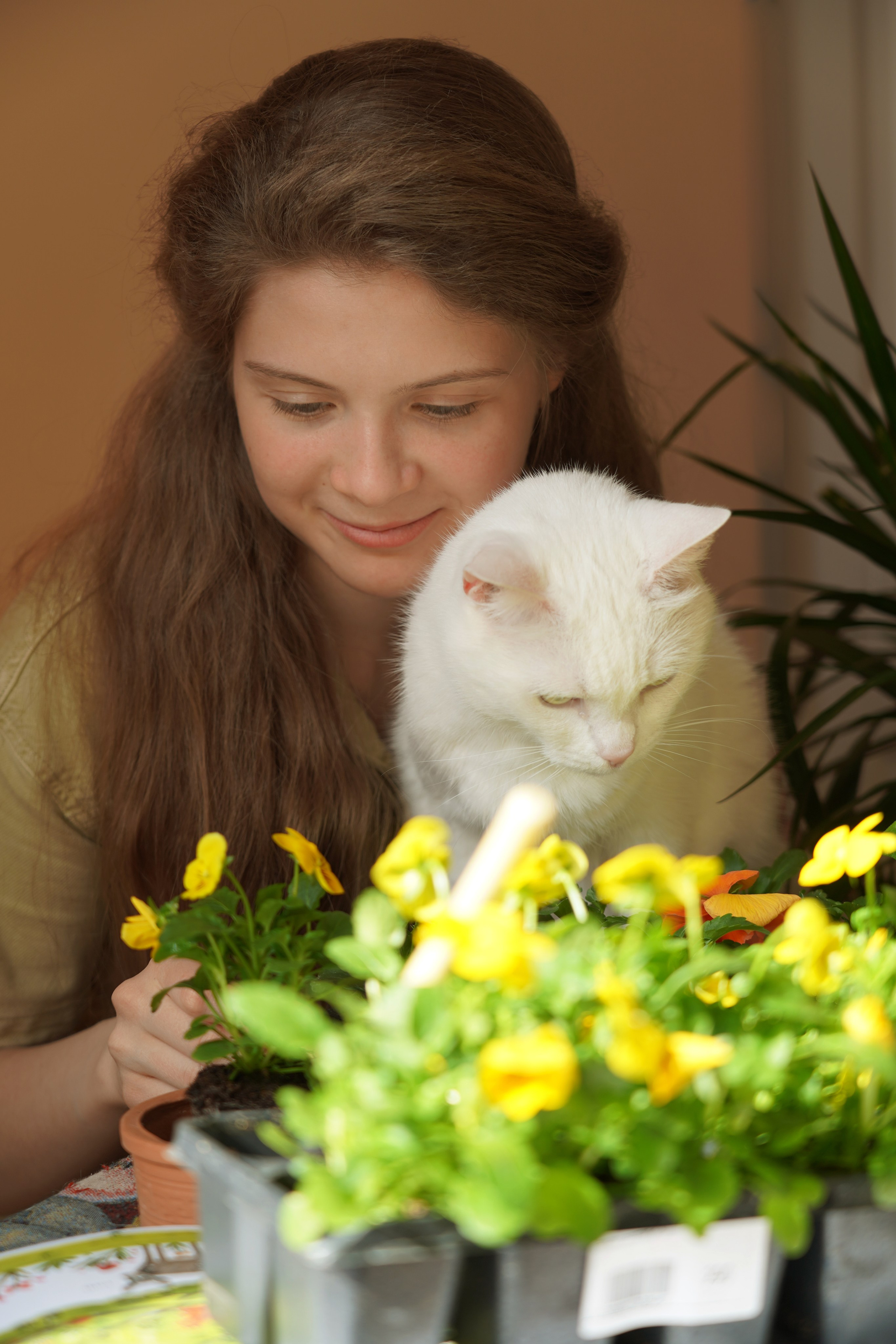 Моя фотостудия: поле, лес, море и горы… Казань — Москва — Болгария