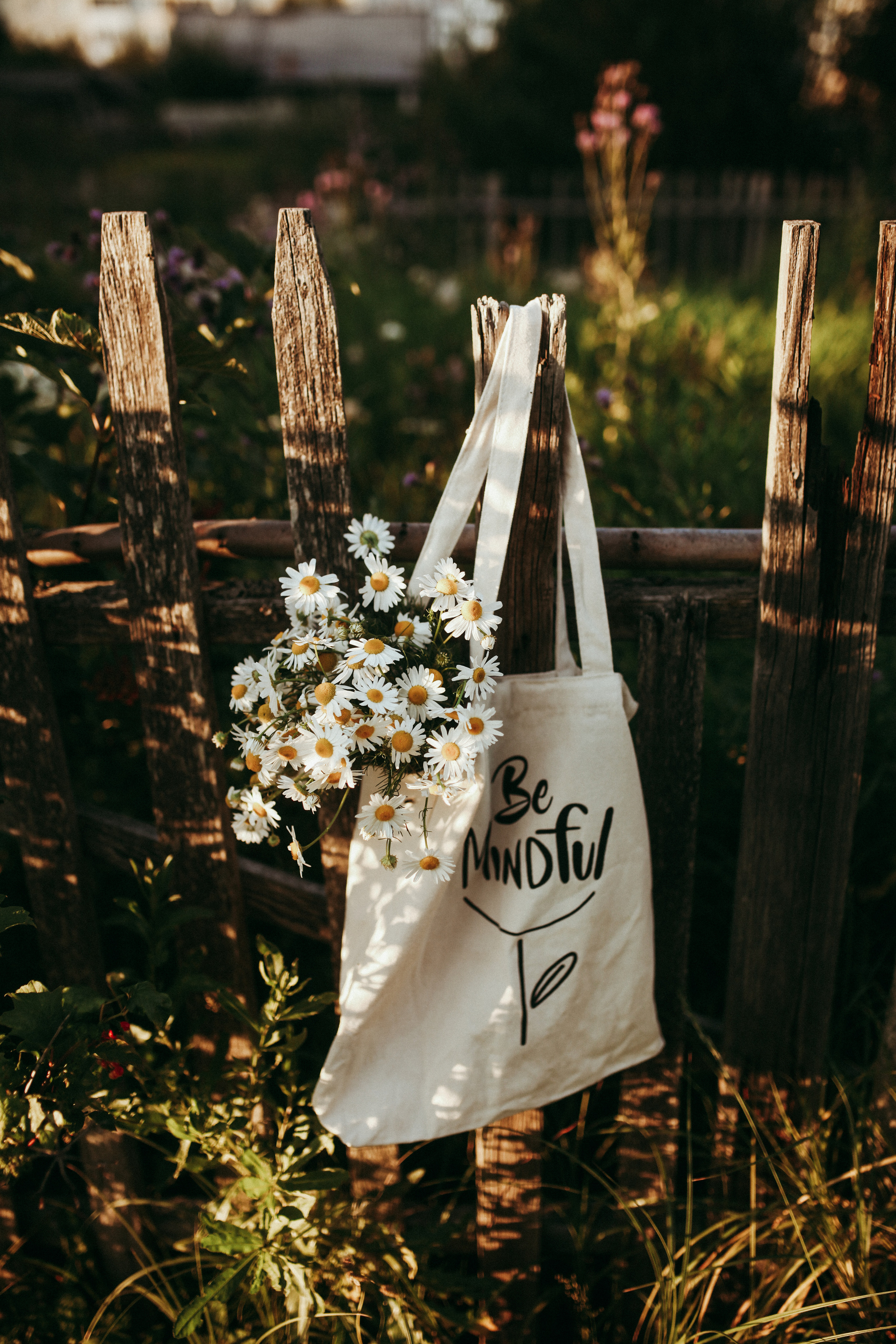 АКЦИЯ на пресеты. Семейный Life style фотограф в Великом Новгороде Юлия Ефимова