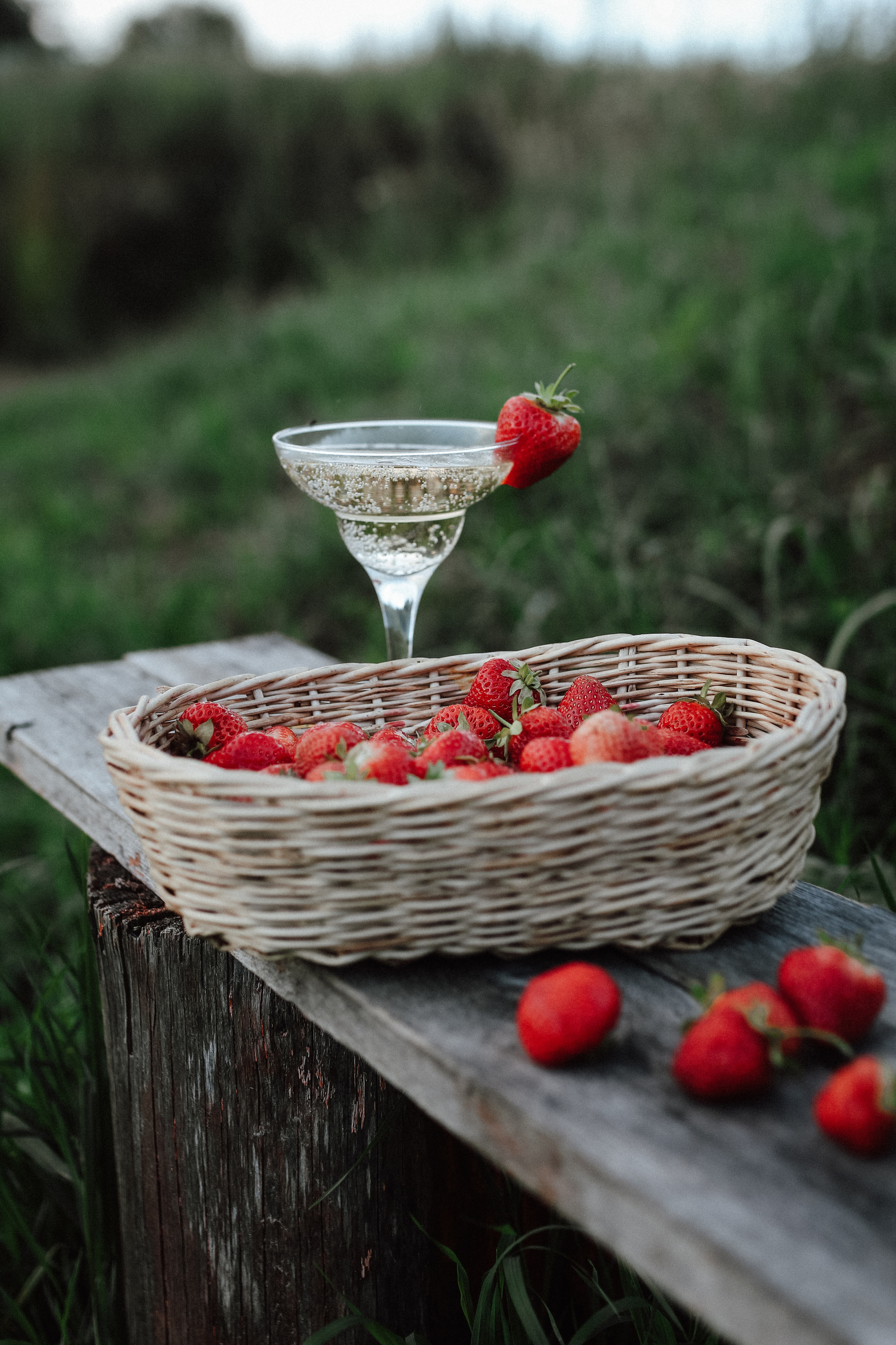 АКЦИЯ на пресеты. Семейный Life style фотограф в Великом Новгороде Юлия Ефимова