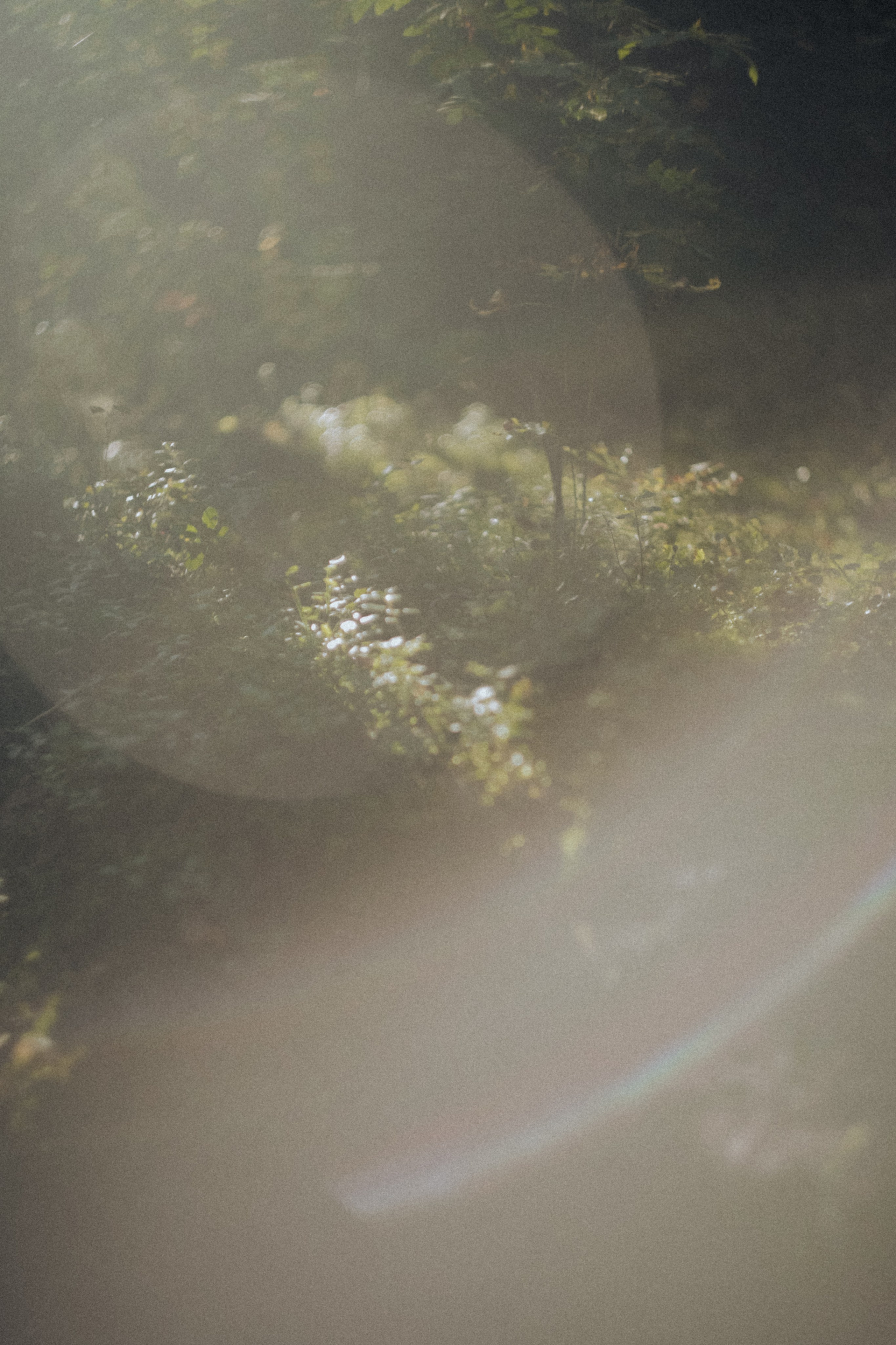 Фотограф Кристина Орлова. Ph___tina