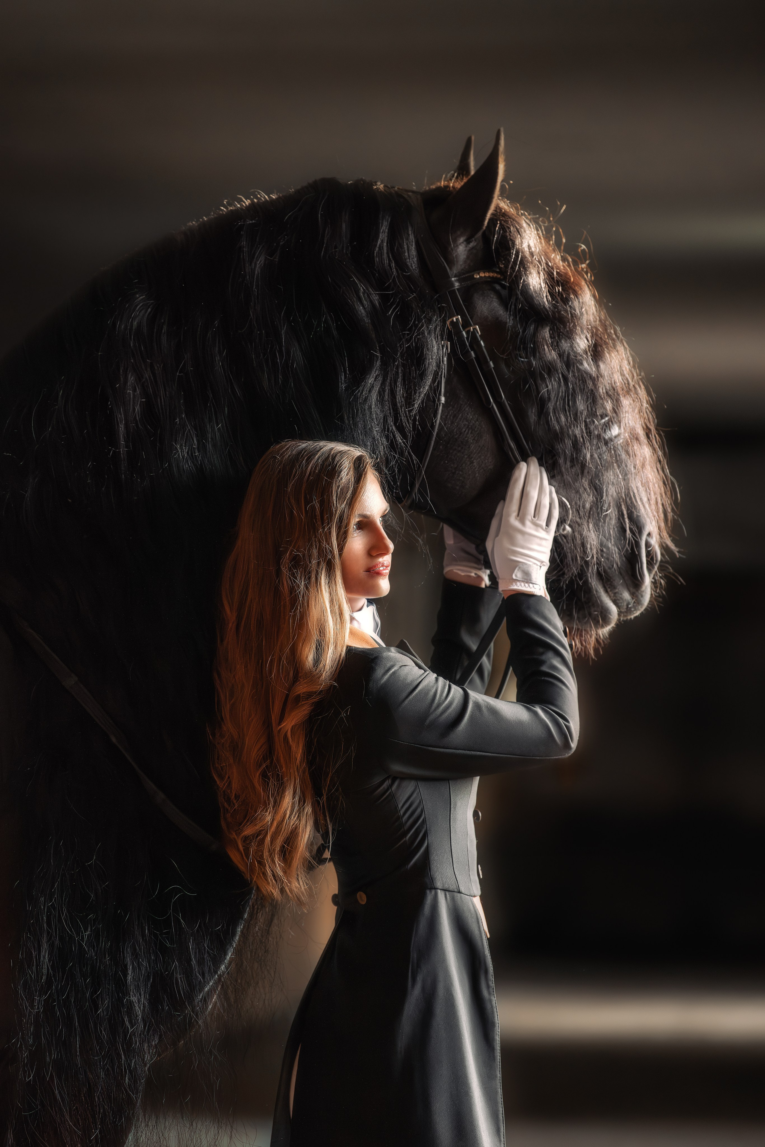 Стоимость. Конный фотограф в Москве — Дарья Алексеева | Премиальные фотосессии с лошадьми