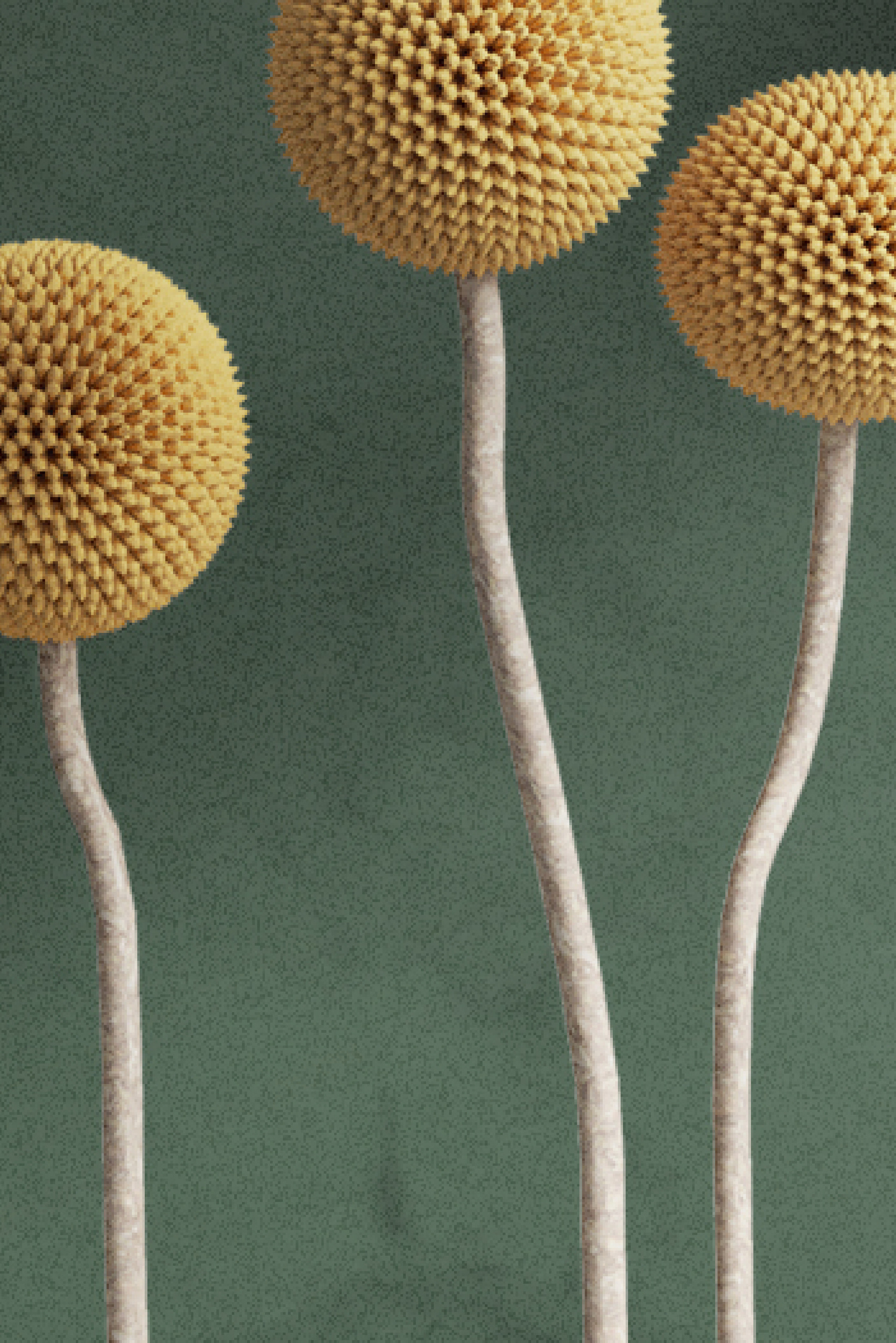 Услуги. Семейный фотограф в Анапе Светлана Тернопол