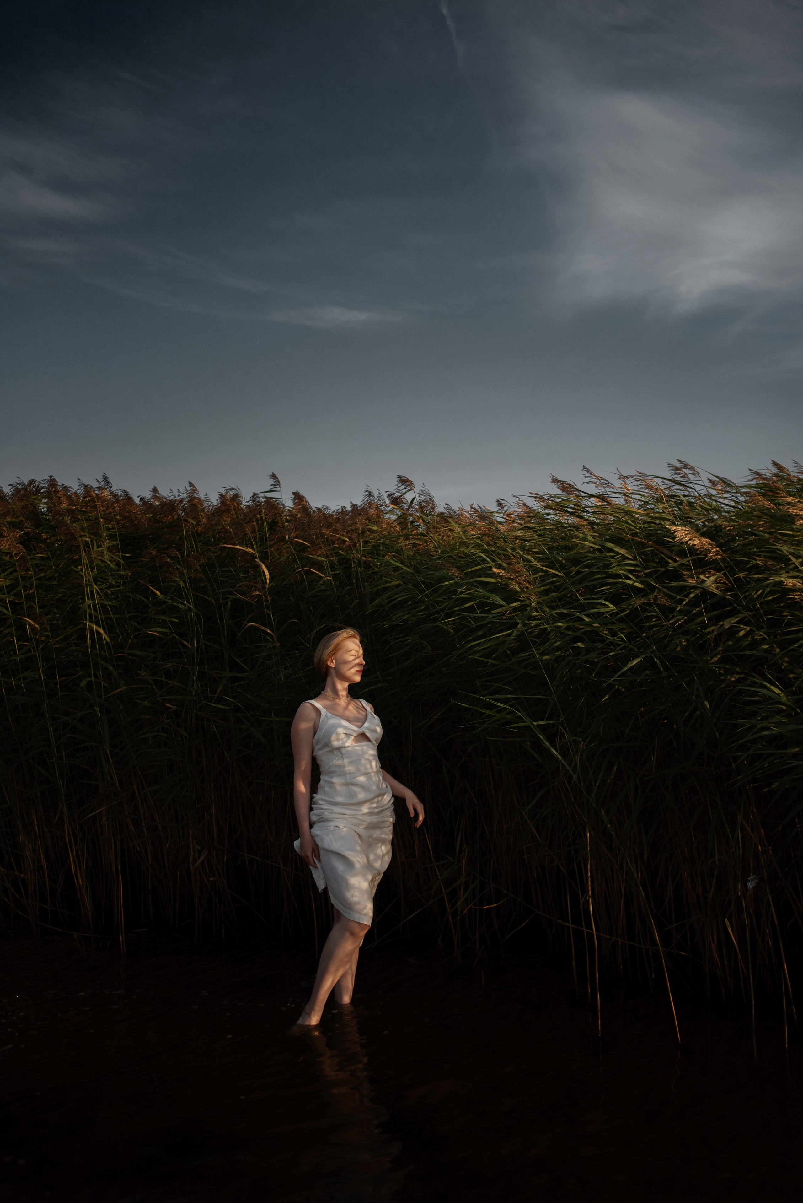 Стоимость. Ваш семейный фотограф