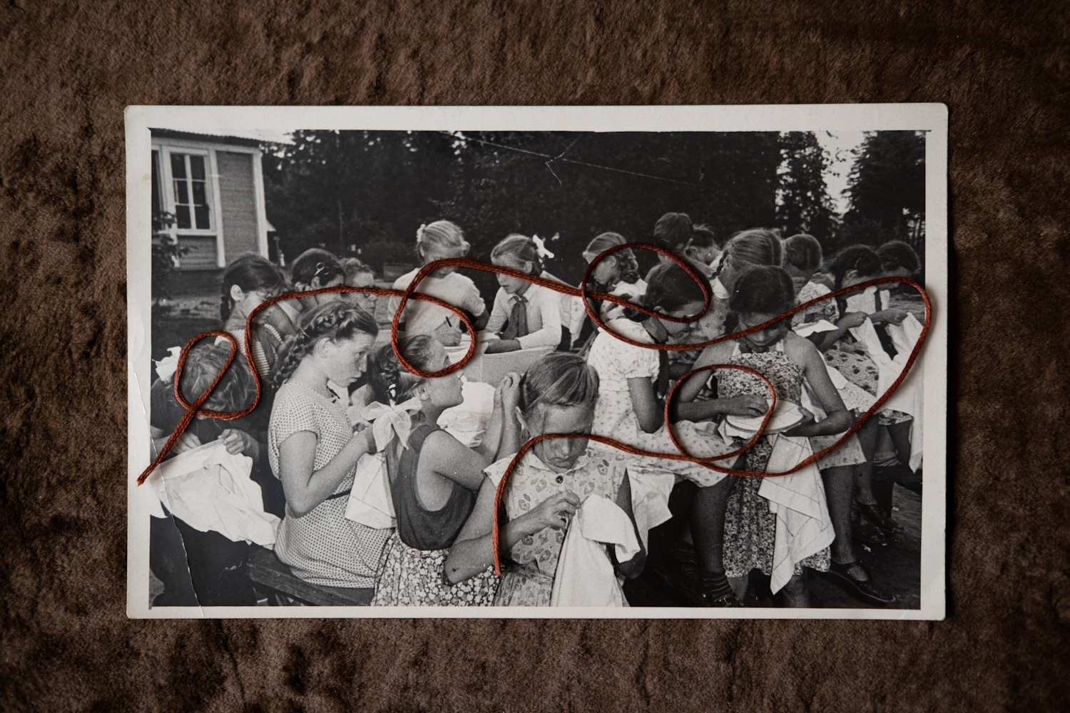 Another swallow | ongoing. Nasti Davydova