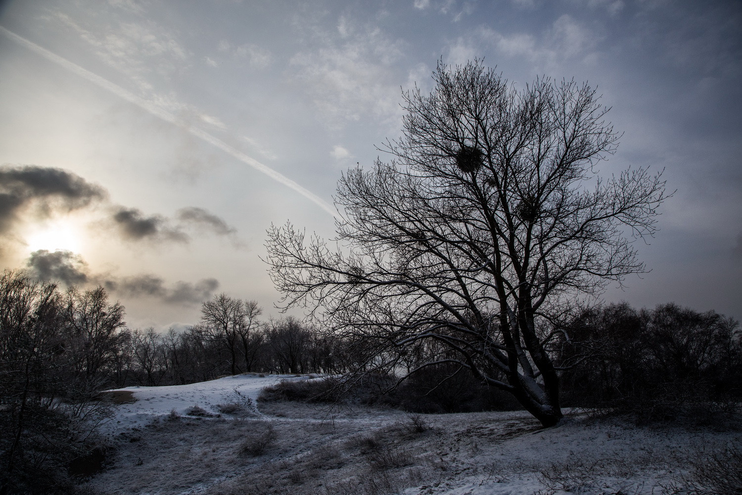 Кураторский проект «Инородное тело»