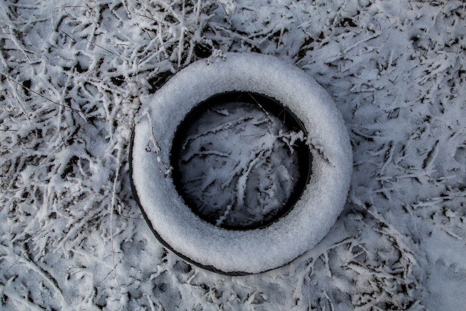 Кураторский проект «Инородное тело»