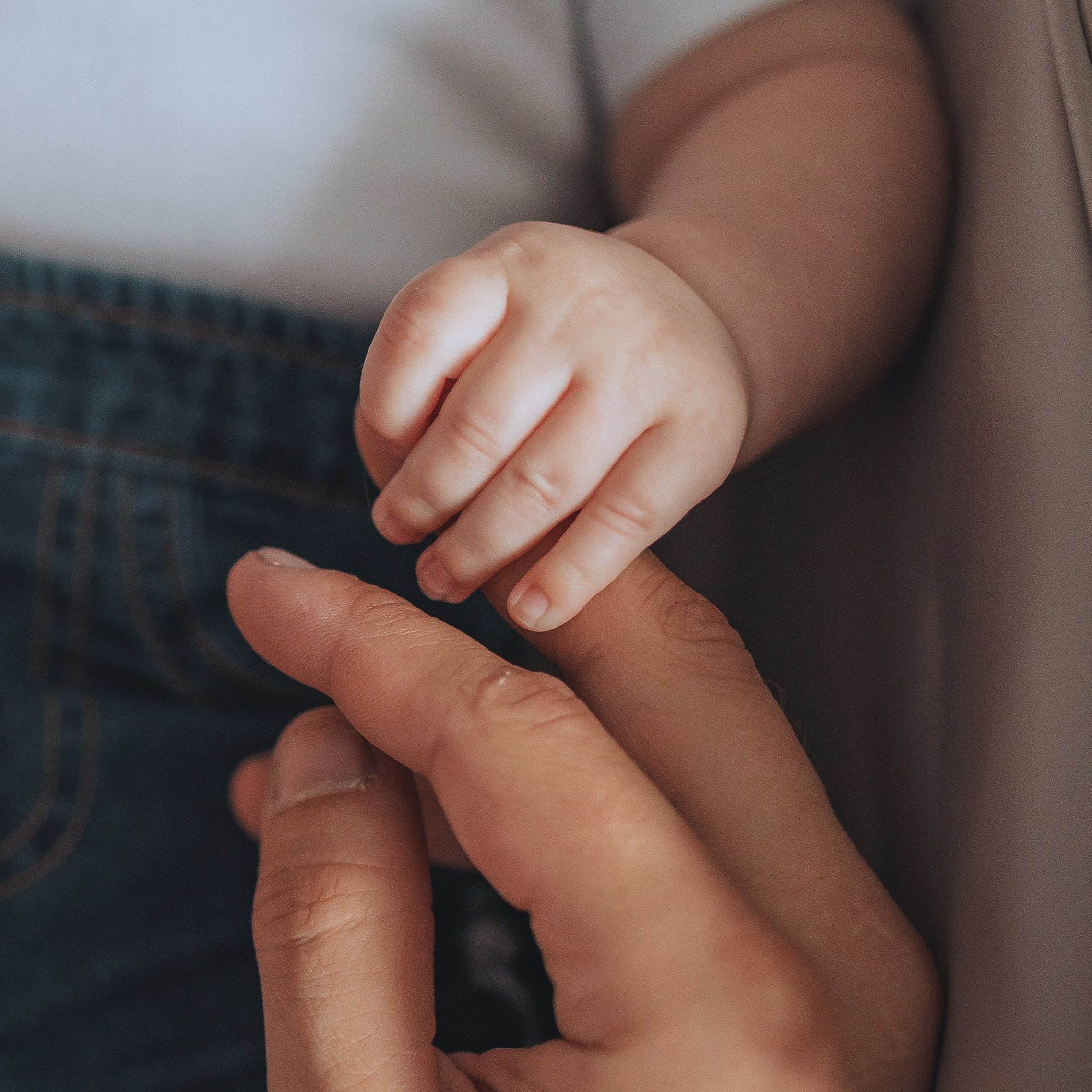 Прайс. Фотограф Облучье