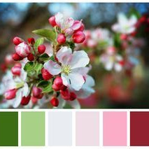 Локации и их цветовые гармонии. Степанова Анна.Детский и семейный фотограф Крым