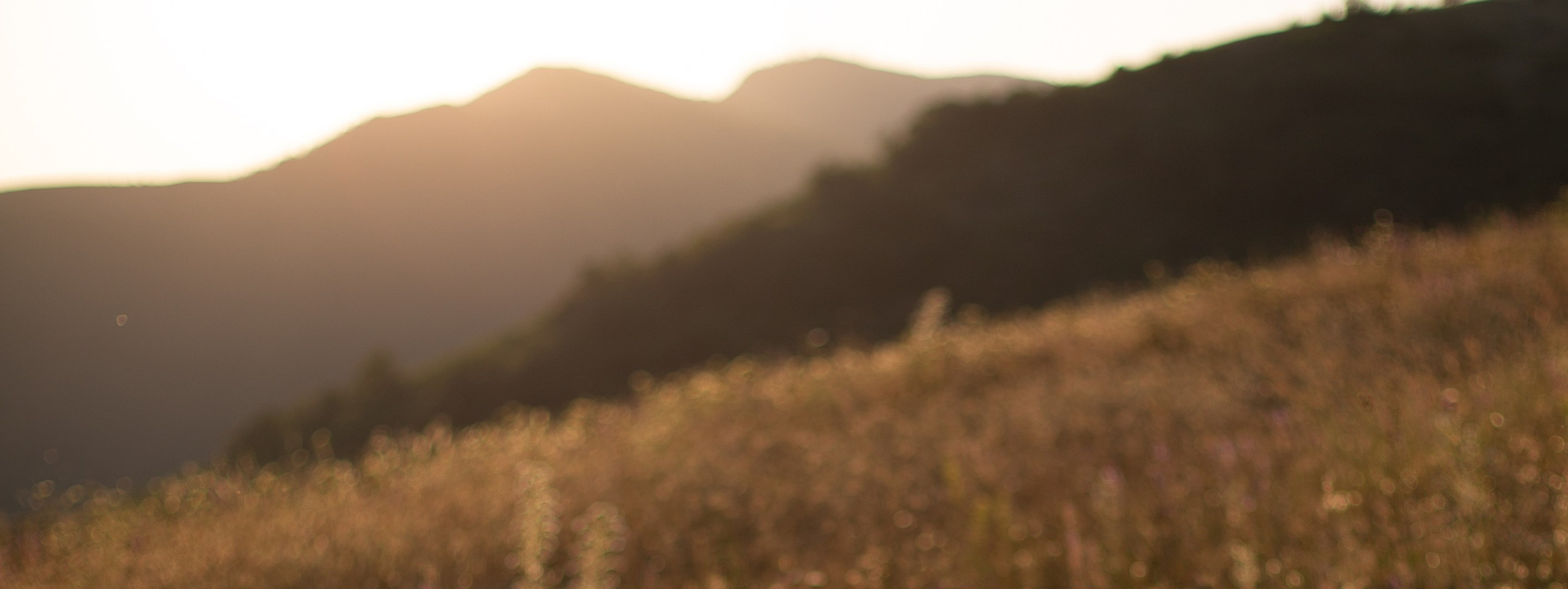 Колода «Дороги земли ветров». Мастерская шаманских бубнов и погремушек «Дороги ветра»