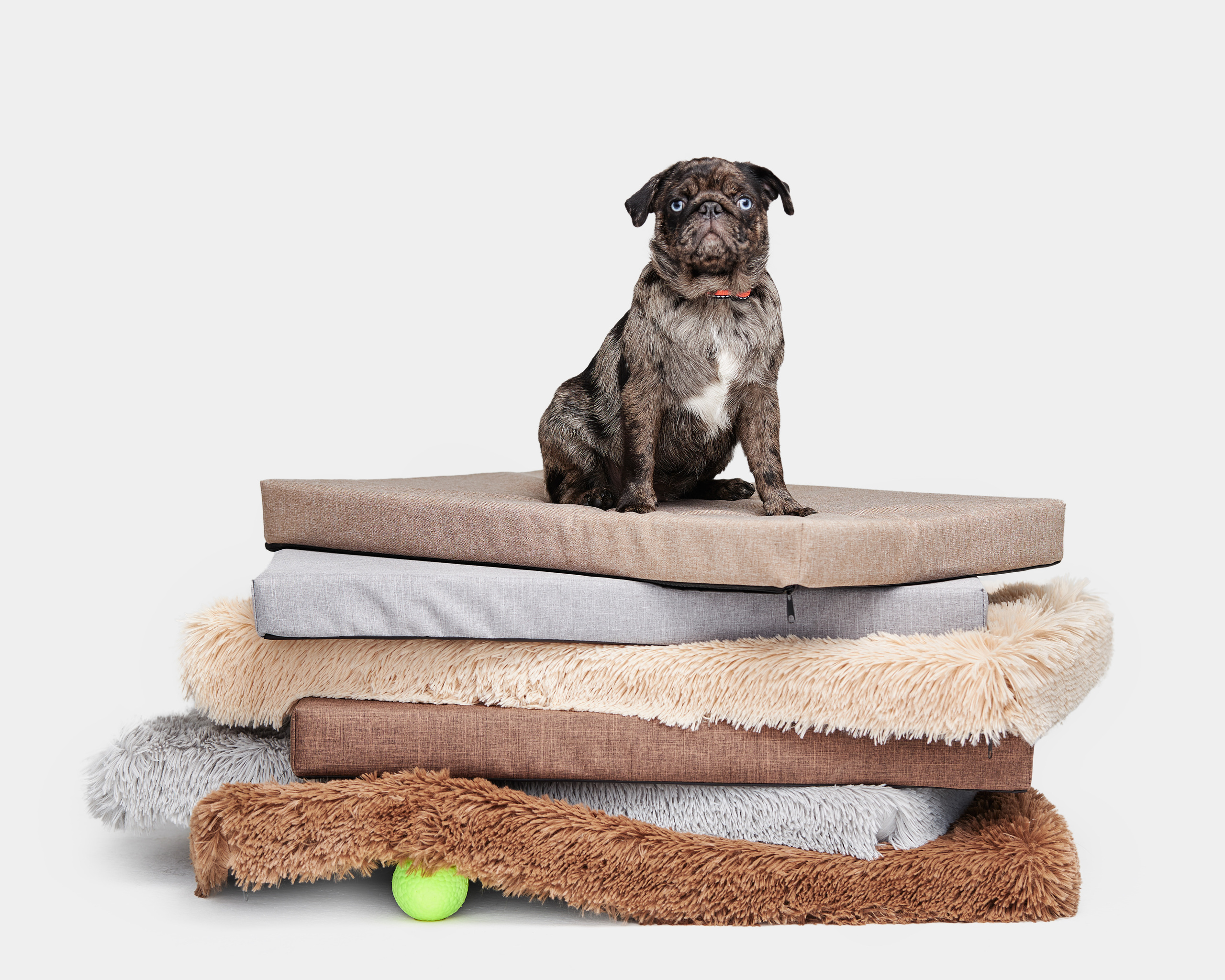 Рекламная фотография для PET индустрии