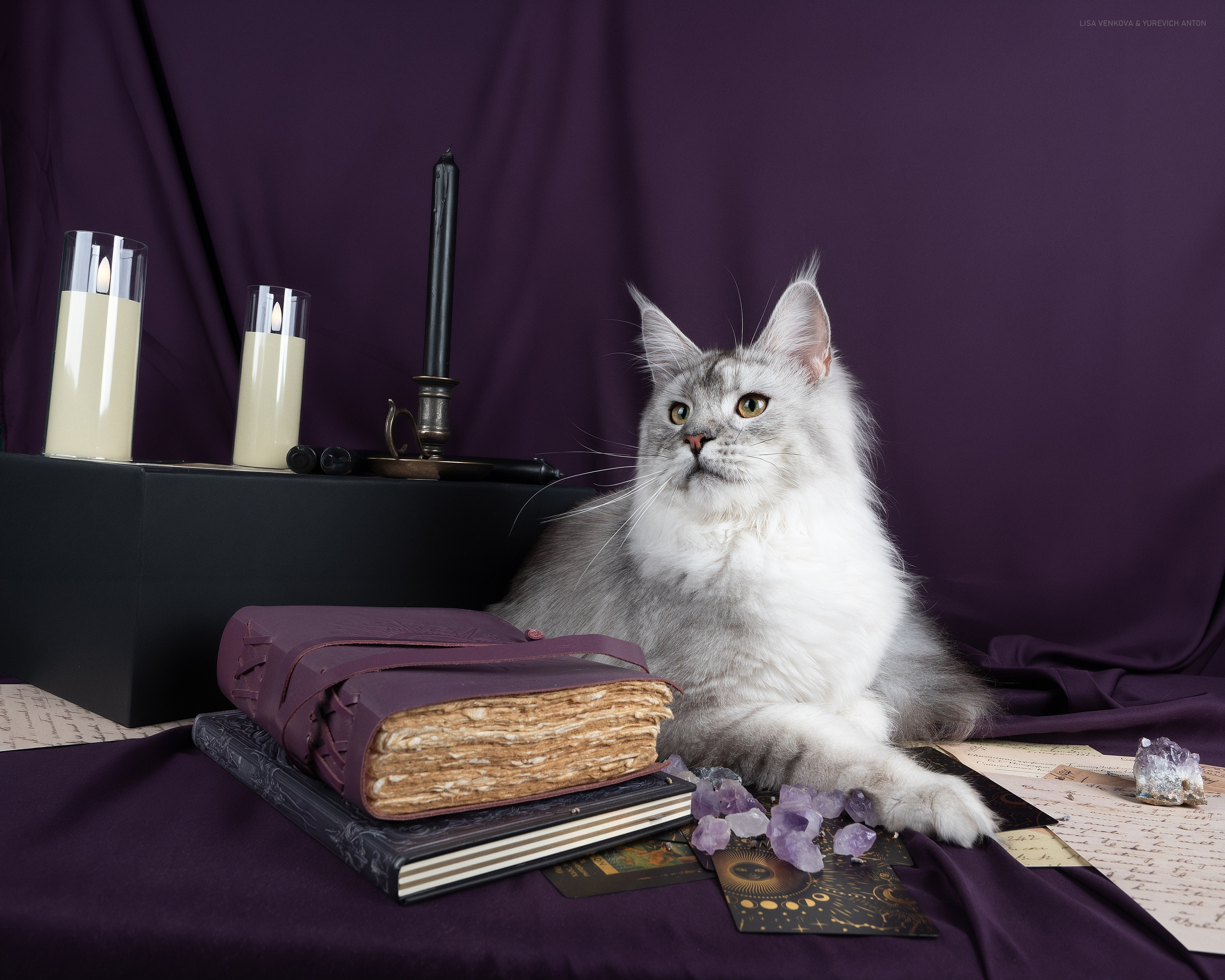 Анималистика. Сайт портфолио двух профессиональных фотографов