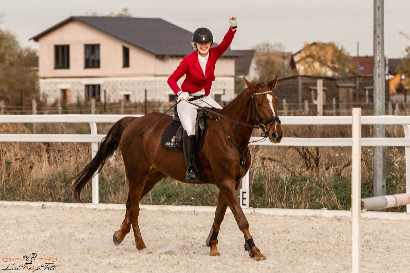 Конный и фотограф с животными в Твери Топталова Люся
