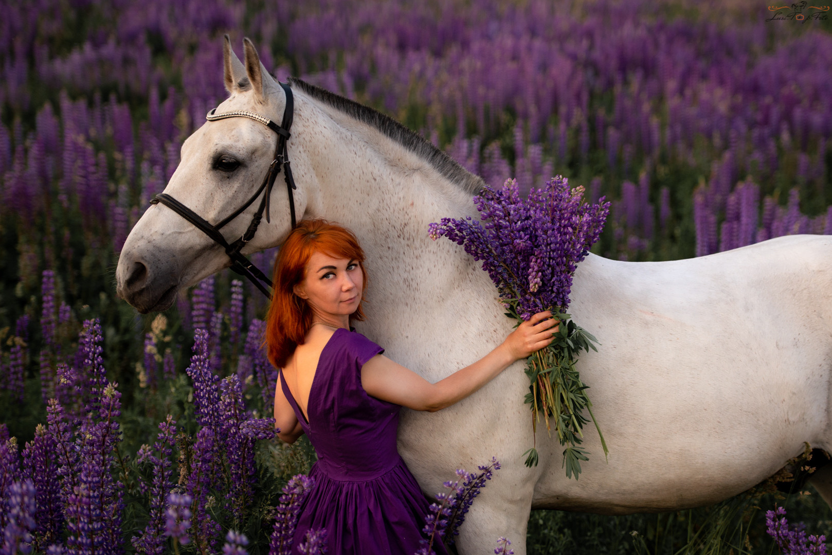Конный и фотограф с животными в Твери Топталова Люся