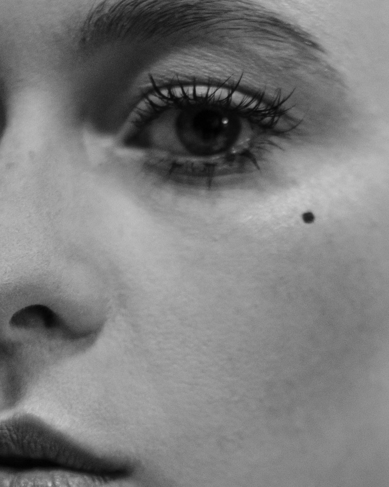 Стоимость Москва. Вадим Зименков