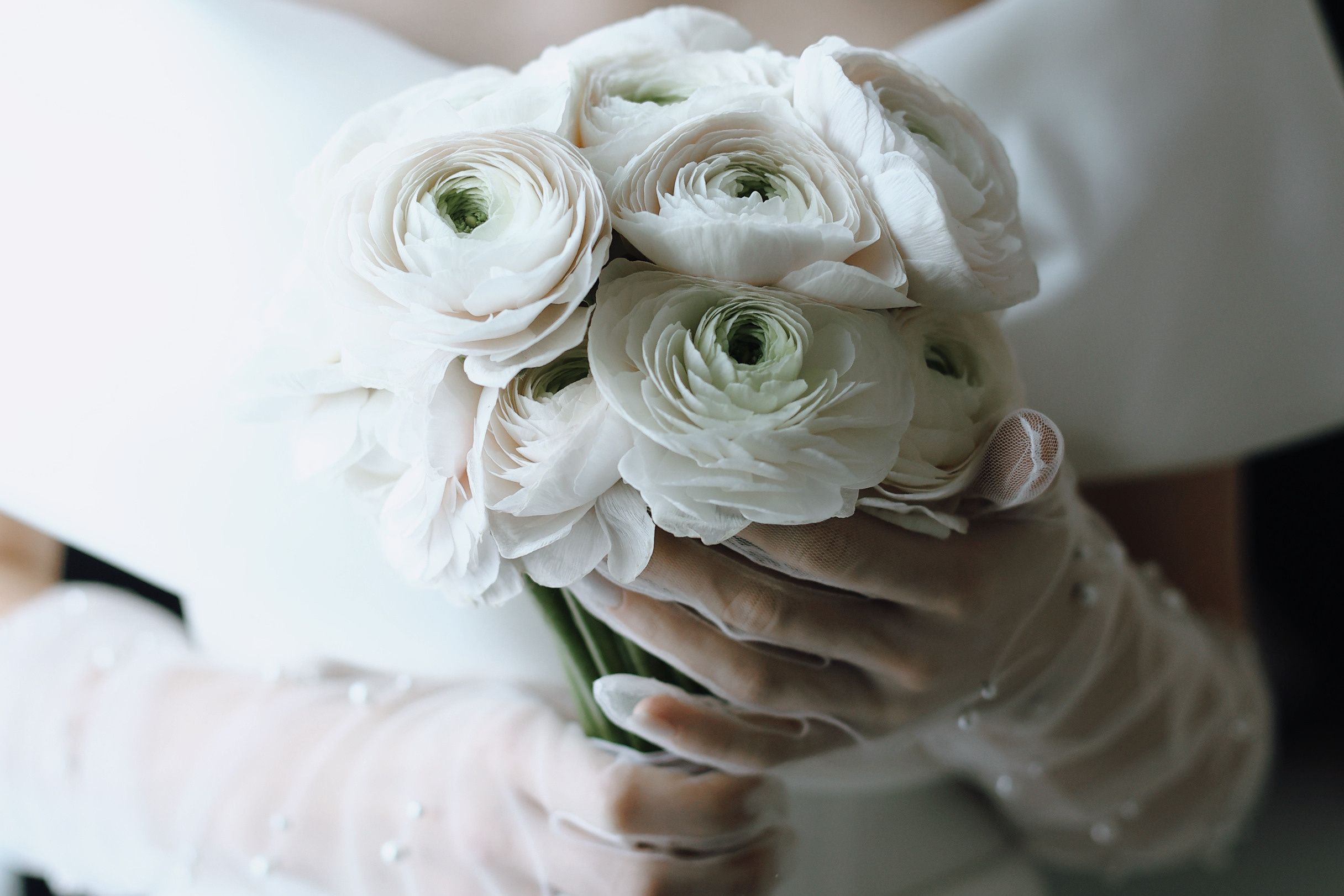 Услуги. Видеограф Сорокин Михаил