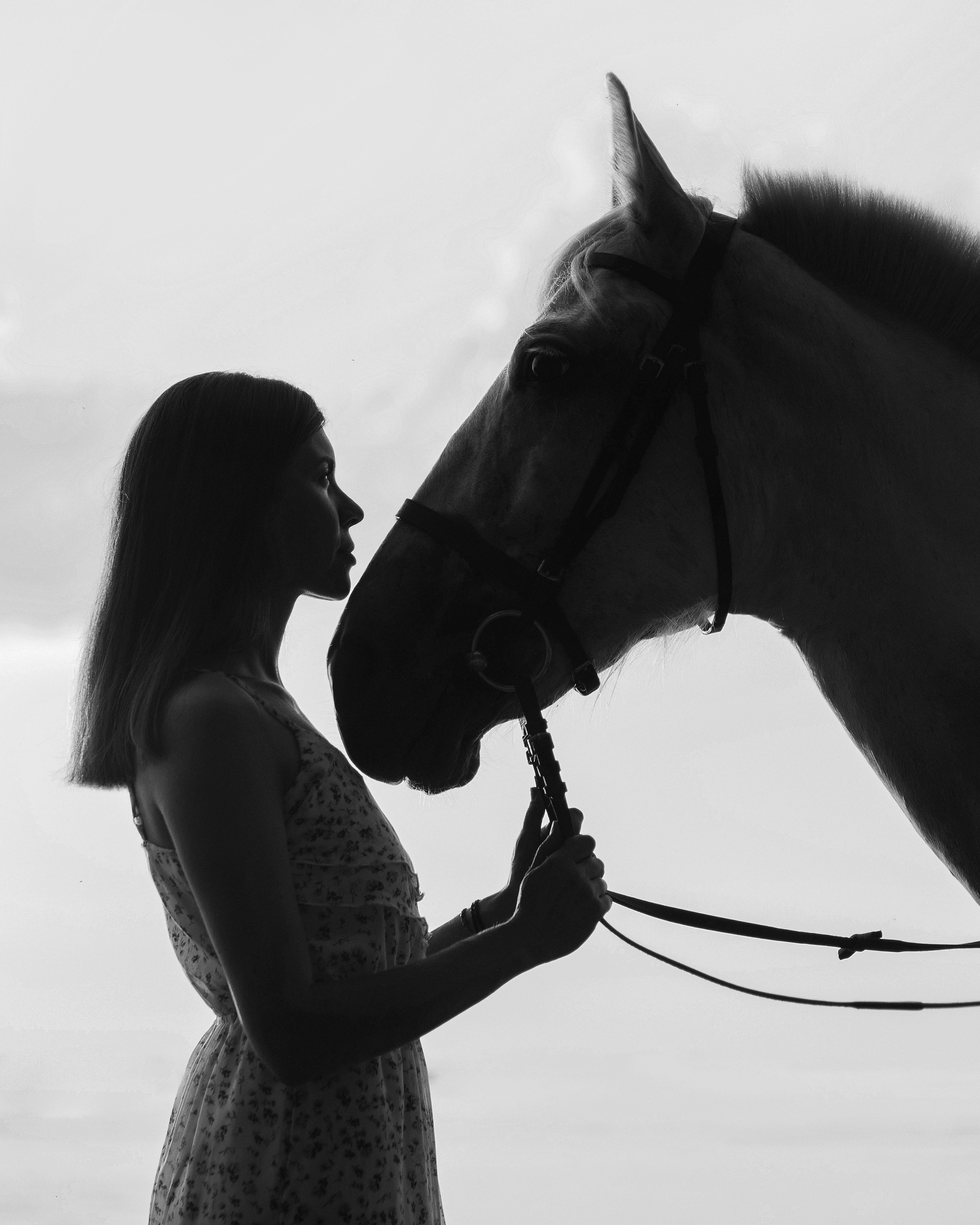 Прайс. Портфолио