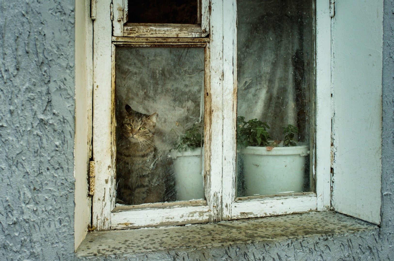 Главная. Руслан Шувалов (поэтограф)