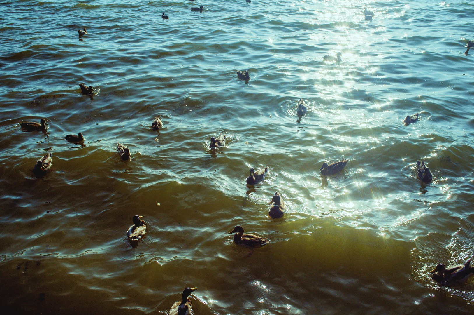 Поэзия (2025). Руслан Шувалов (поэтограф)