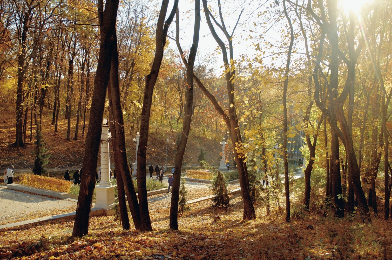 Поэзия (2024). Руслан Шувалов (поэтограф)