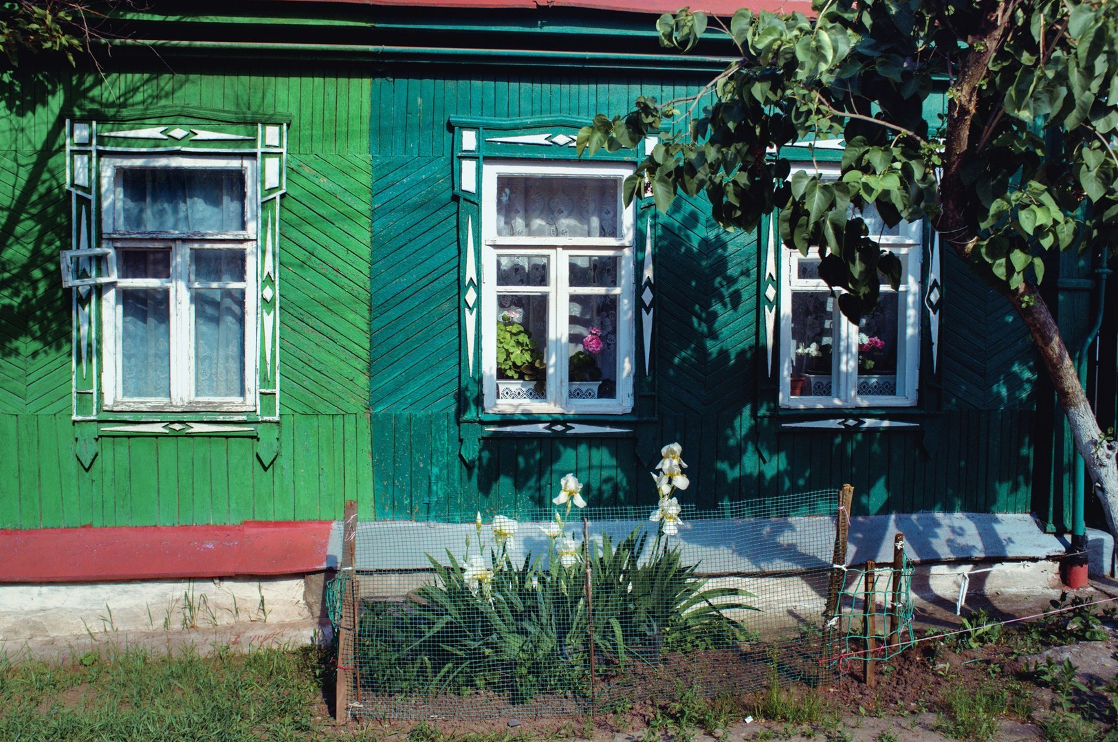 Поэзия (2025). Руслан Шувалов (поэтограф)