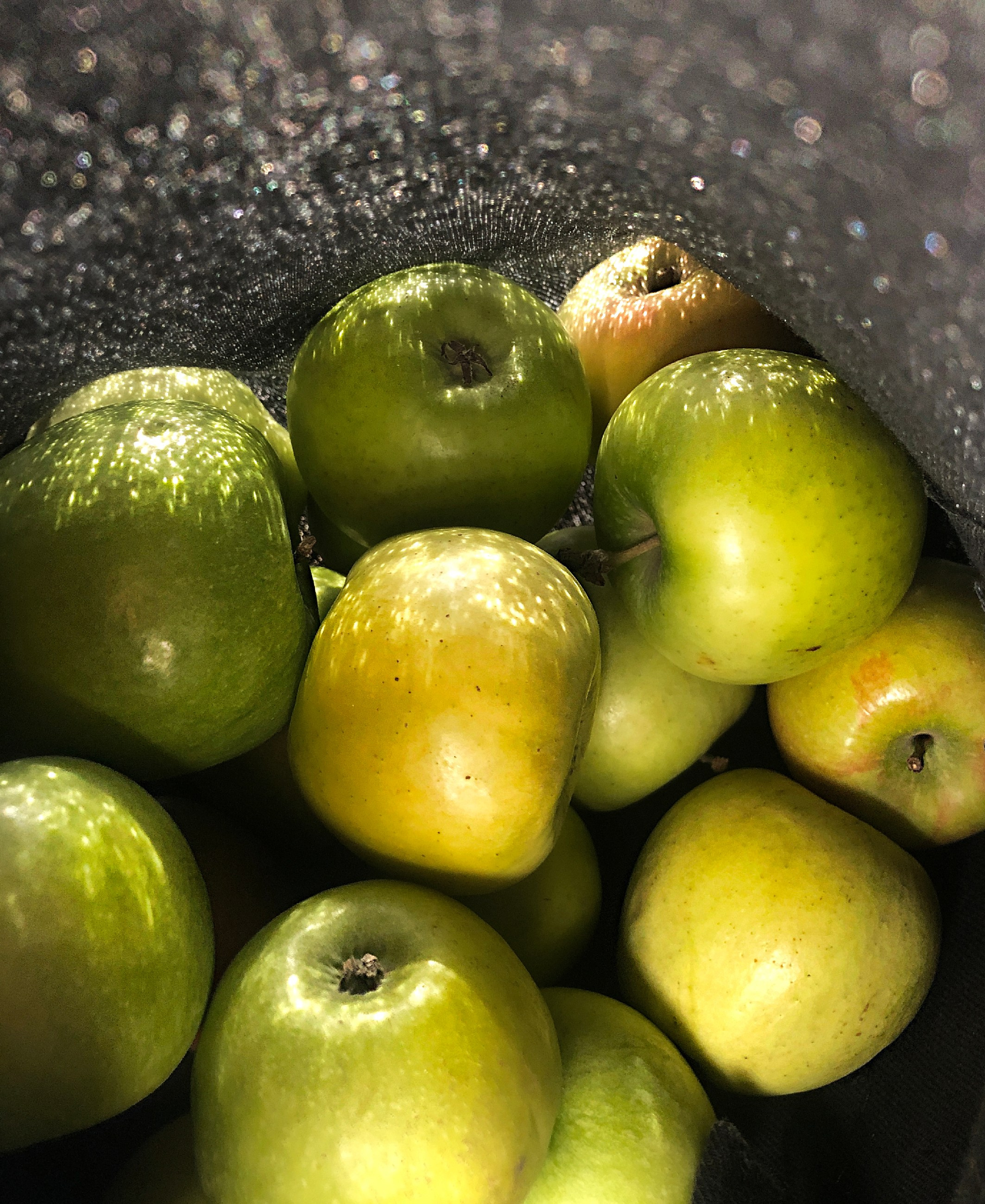Магазин авторских коллекционных фотографий. Елена Аносова — художница и исследовательница, куратор и лектор