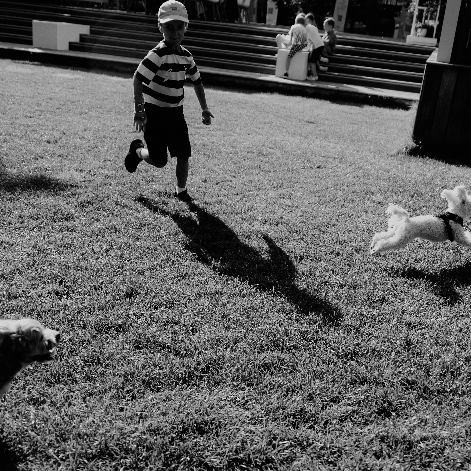 Портретный фотограф в Москве и области