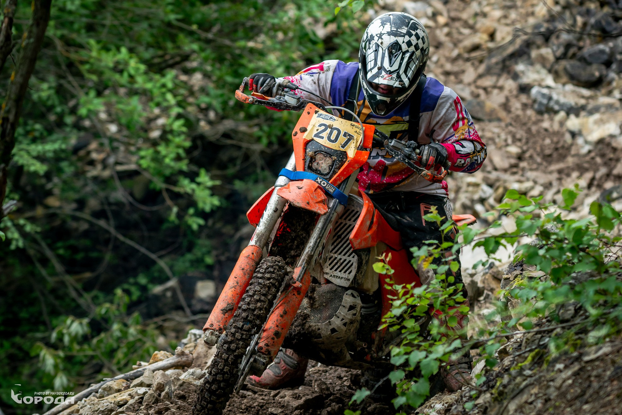 Фотограф | Макс Борода