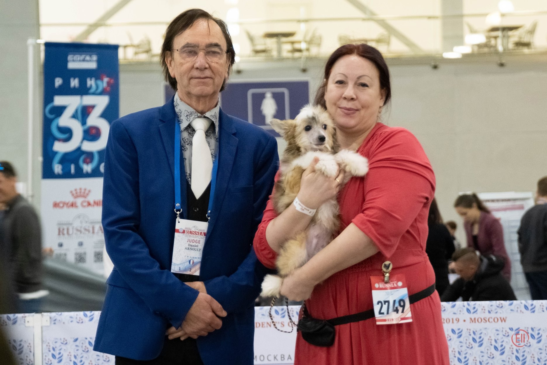 Poale Ell Chen’s First Exhibition. Chinese Crested Dog: Buy a Puppy from a Kennel